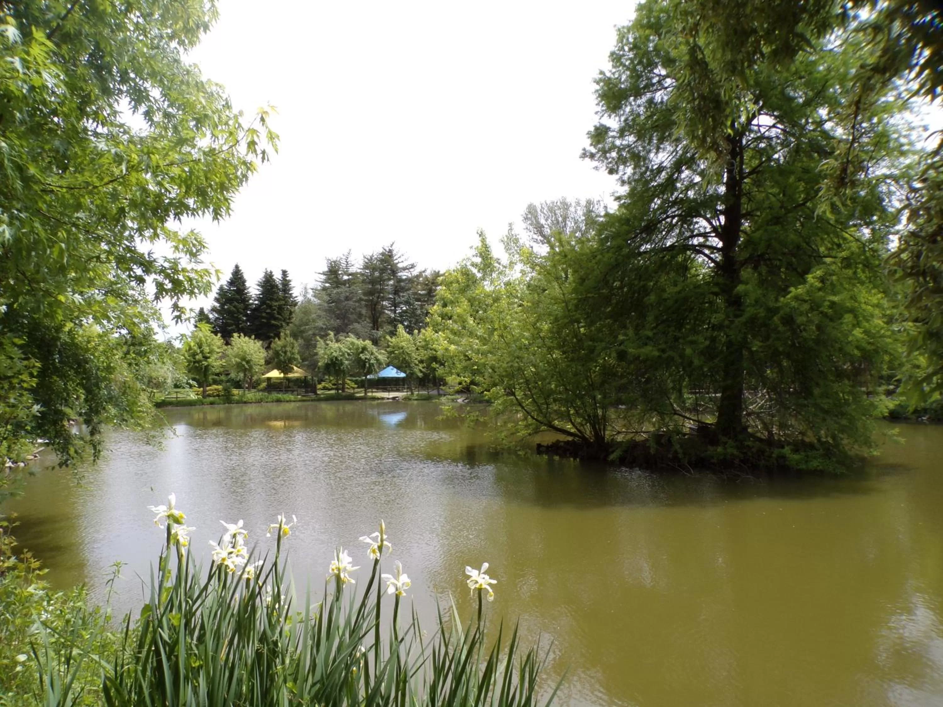 Natural landscape in Terme Di Monte Valenza