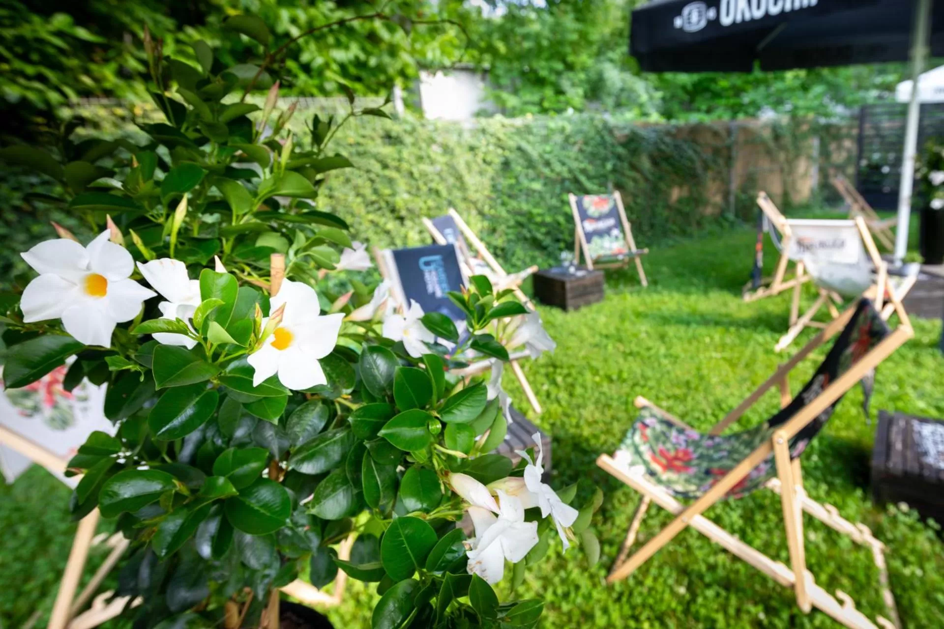Garden in Focus Hotel Premium Kraków