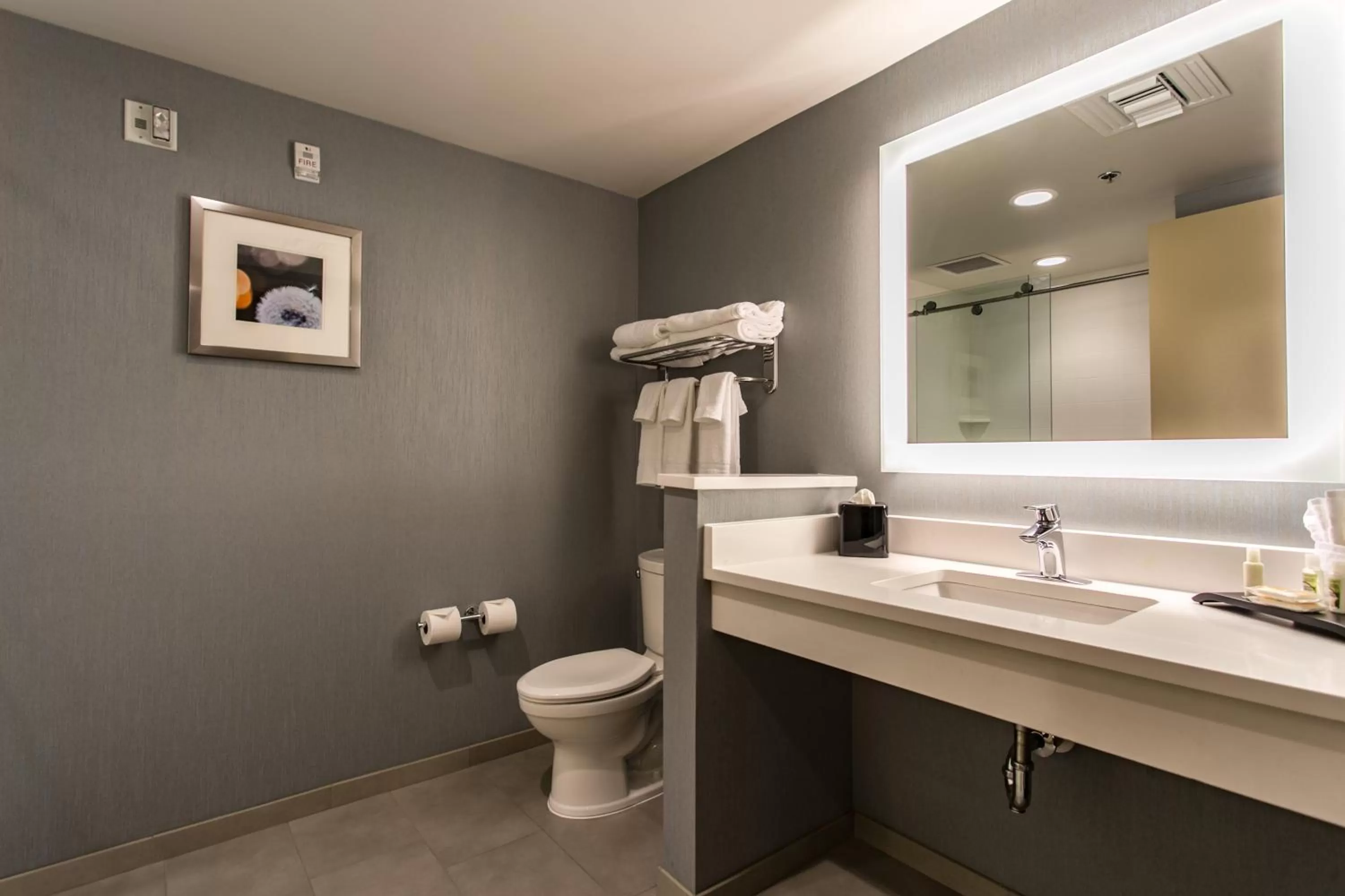 Bathroom in Holiday Inn Hotel & Suites Chattanooga by IHG