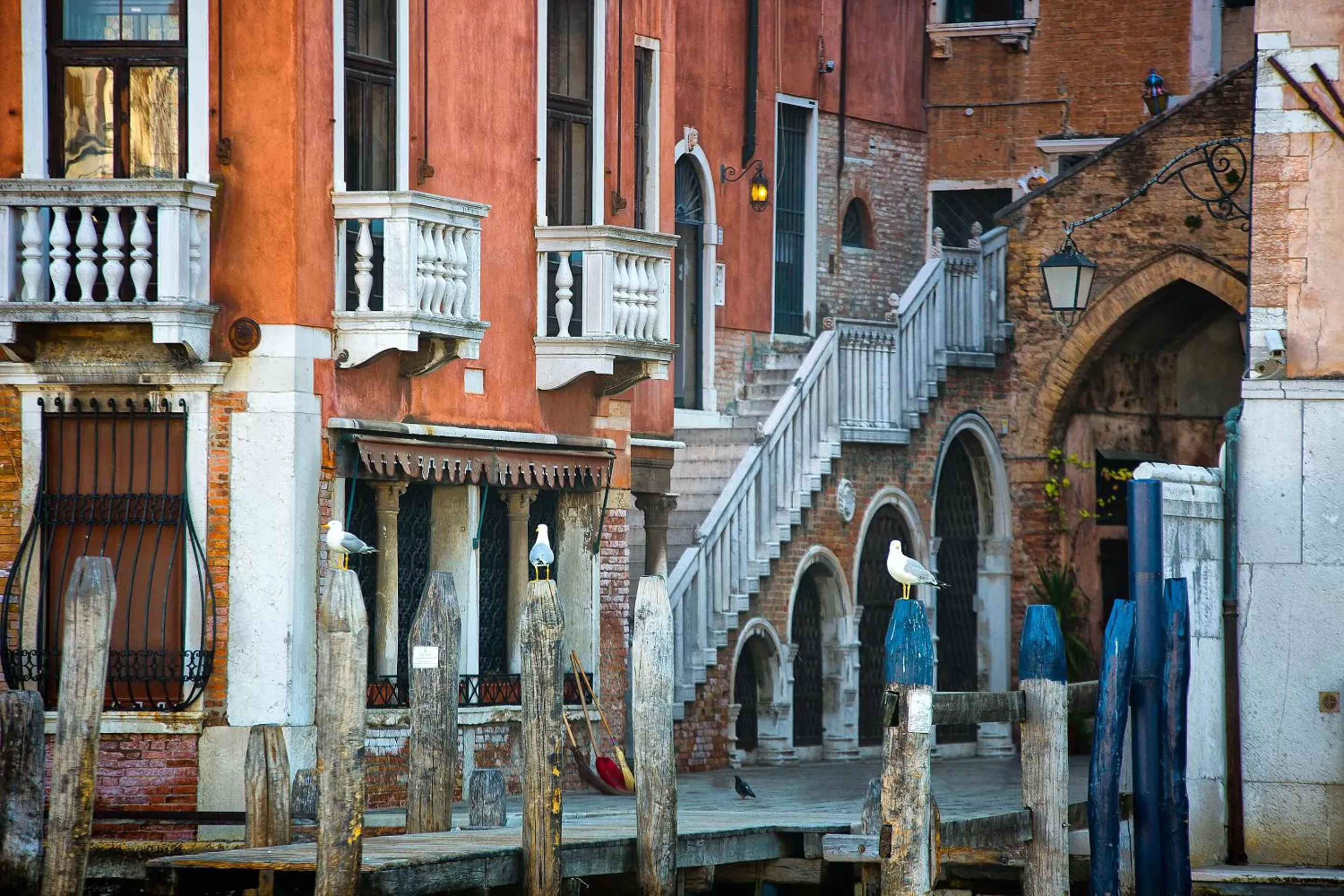 Facade/entrance in Scalon del Doge