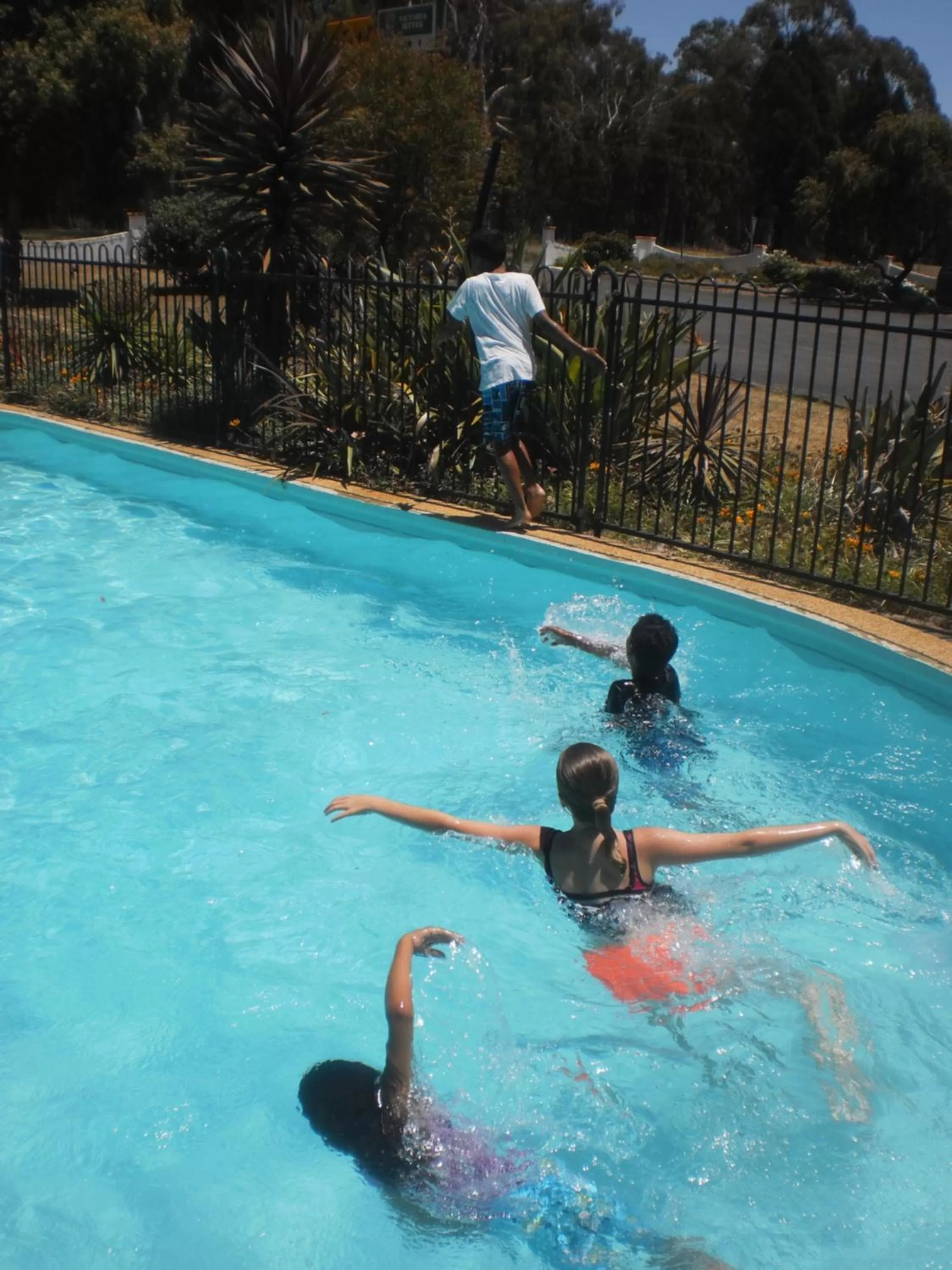 Swimming pool in Azalea Motel