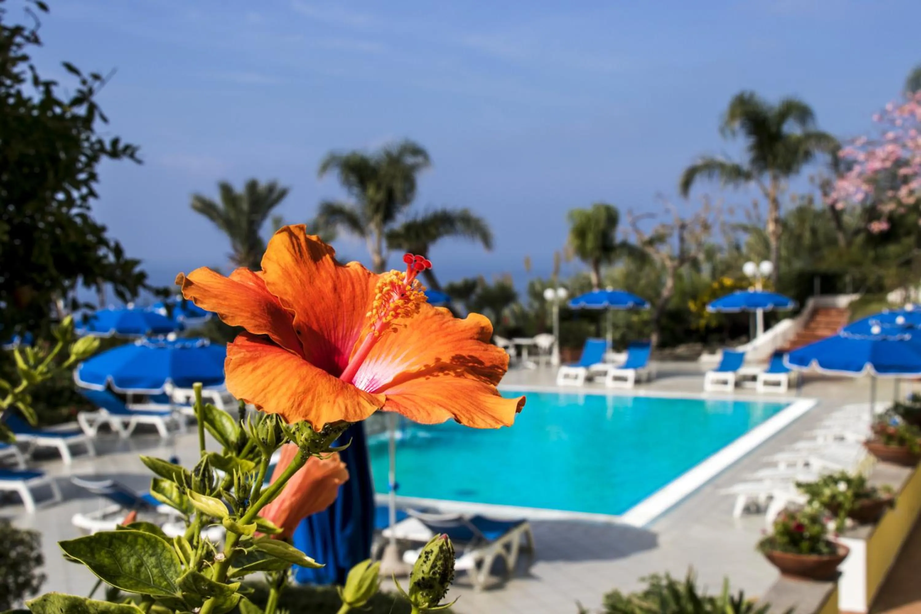 Swimming pool in Hotel Capizzo
