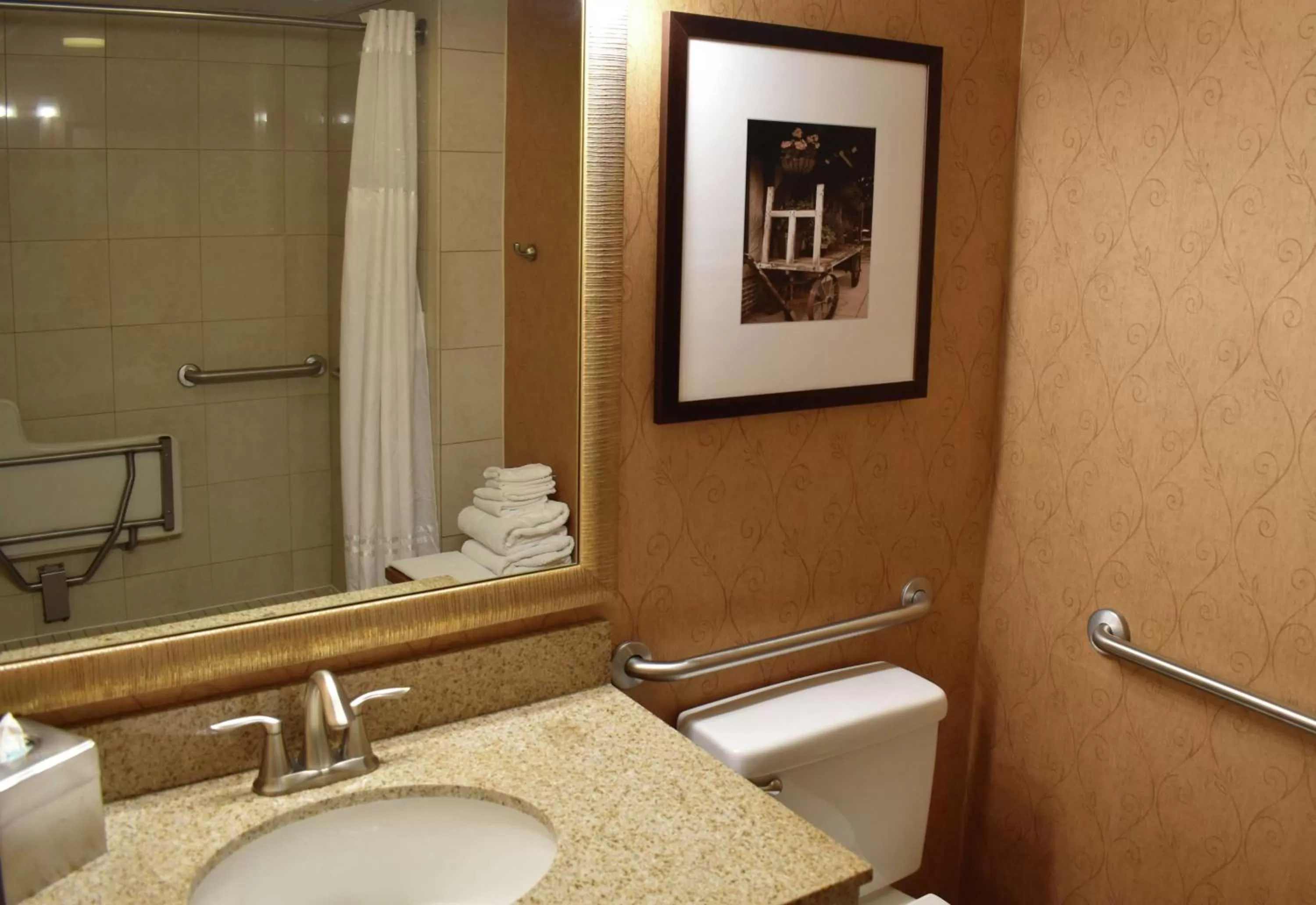 Bathroom in DoubleTree by Hilton Biltmore/Asheville