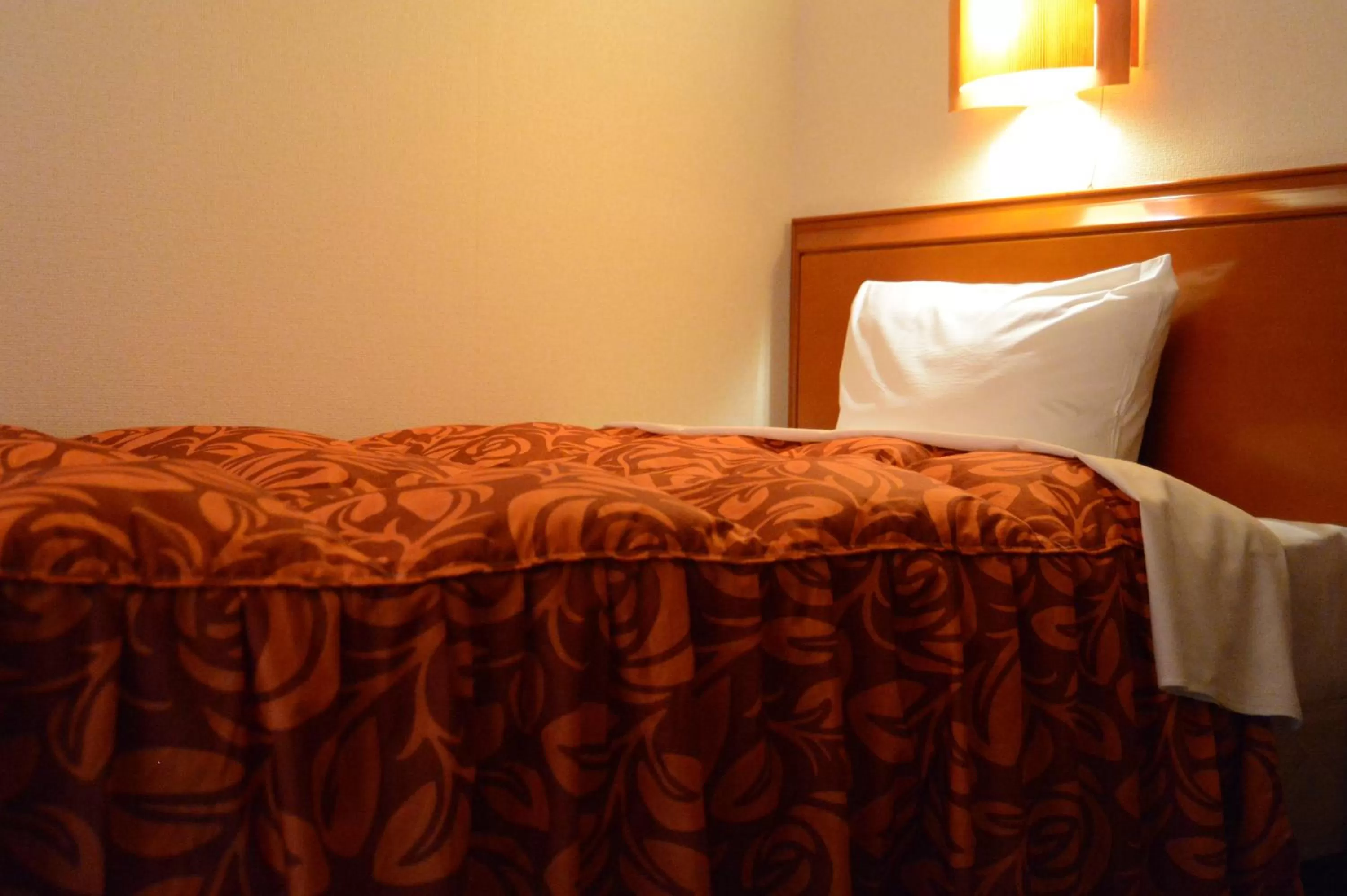 Single Room - single occupancy - Smoking in Hotel Minatoya