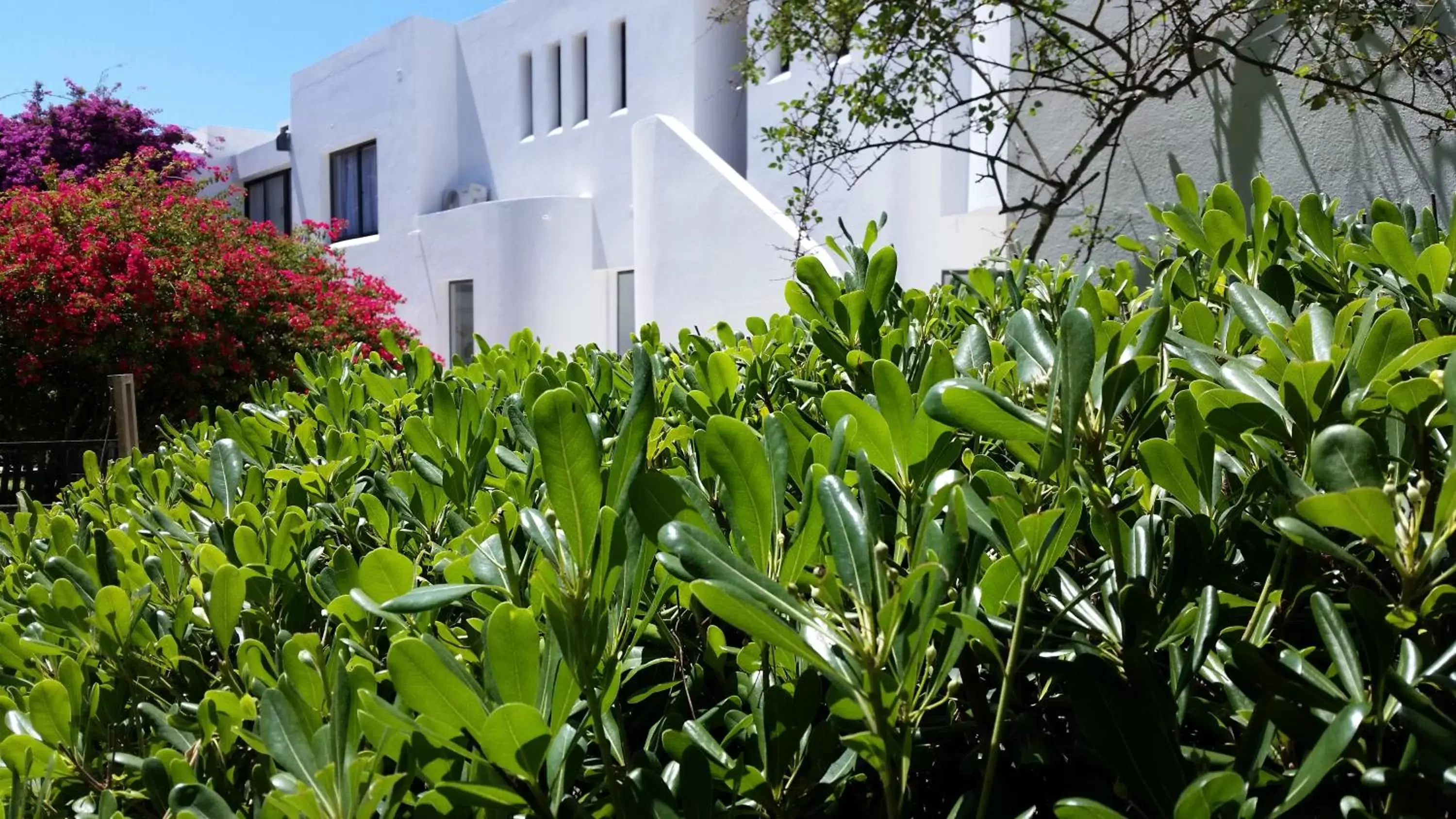 Garden Double Room - 2 Single beds in Posada de los Pajaros Garden Double Room - 2 Single beds in Posada de los Pajaros