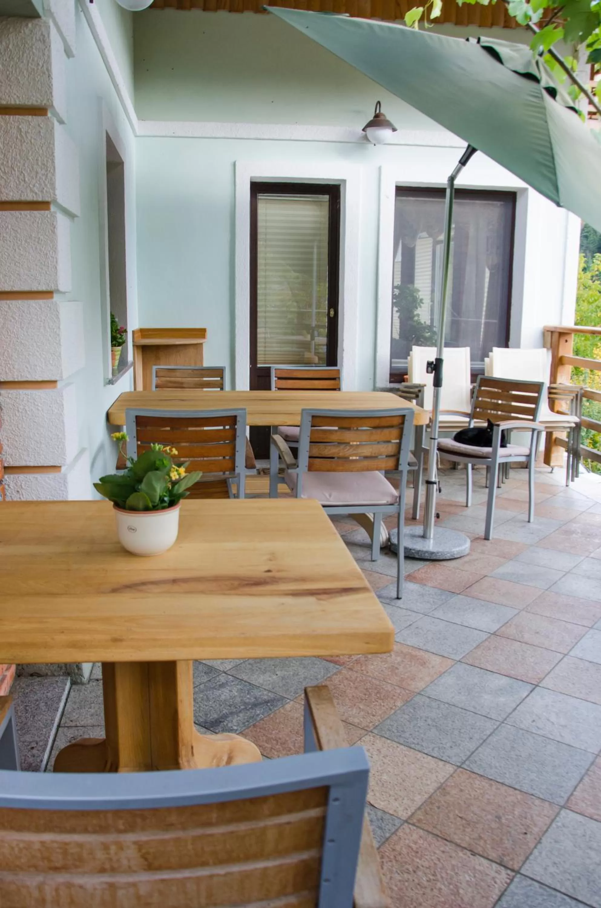 Balcony/Terrace in Miškar Rooms