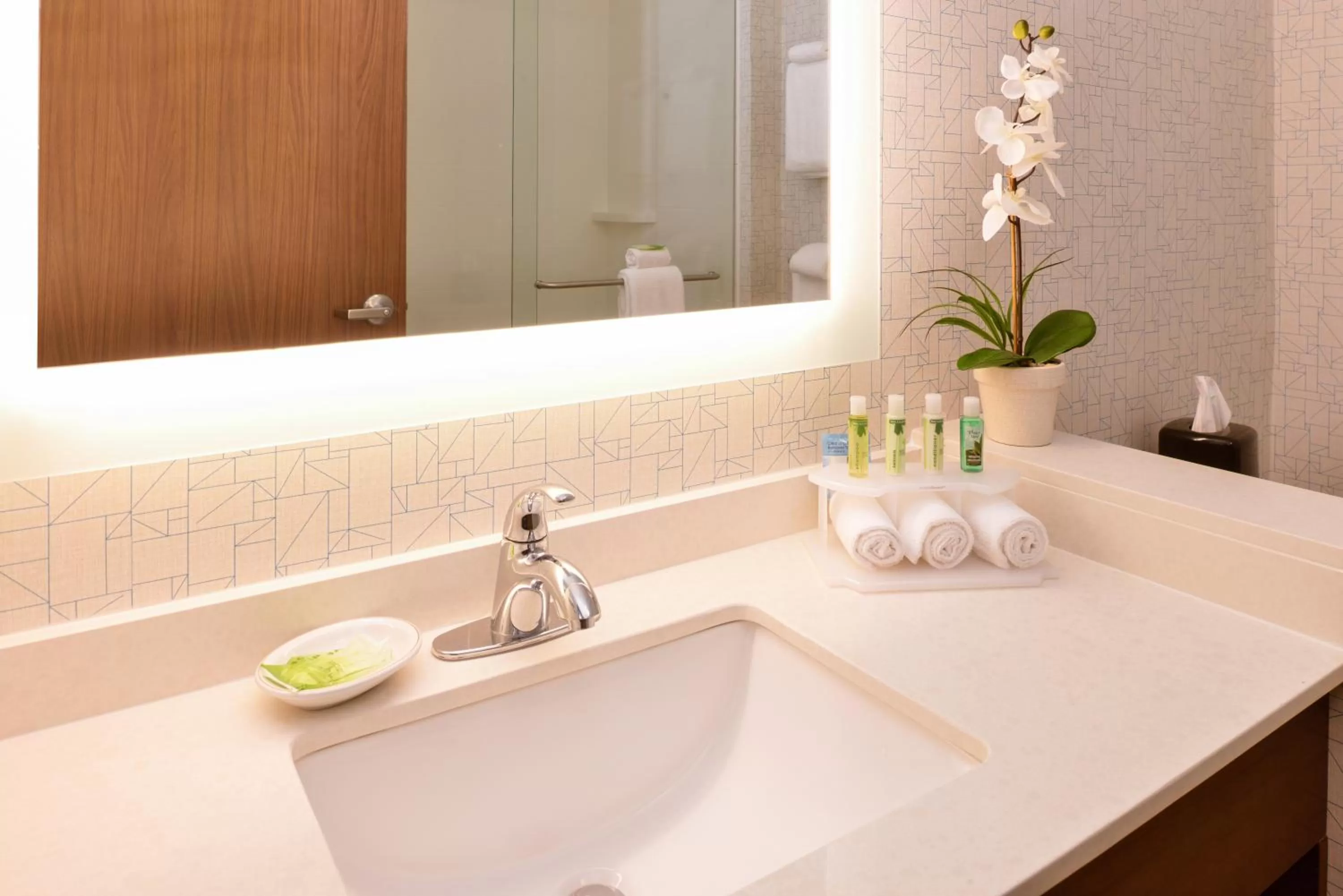 Bathroom in Holiday Inn Express & Suites Trinity by IHG