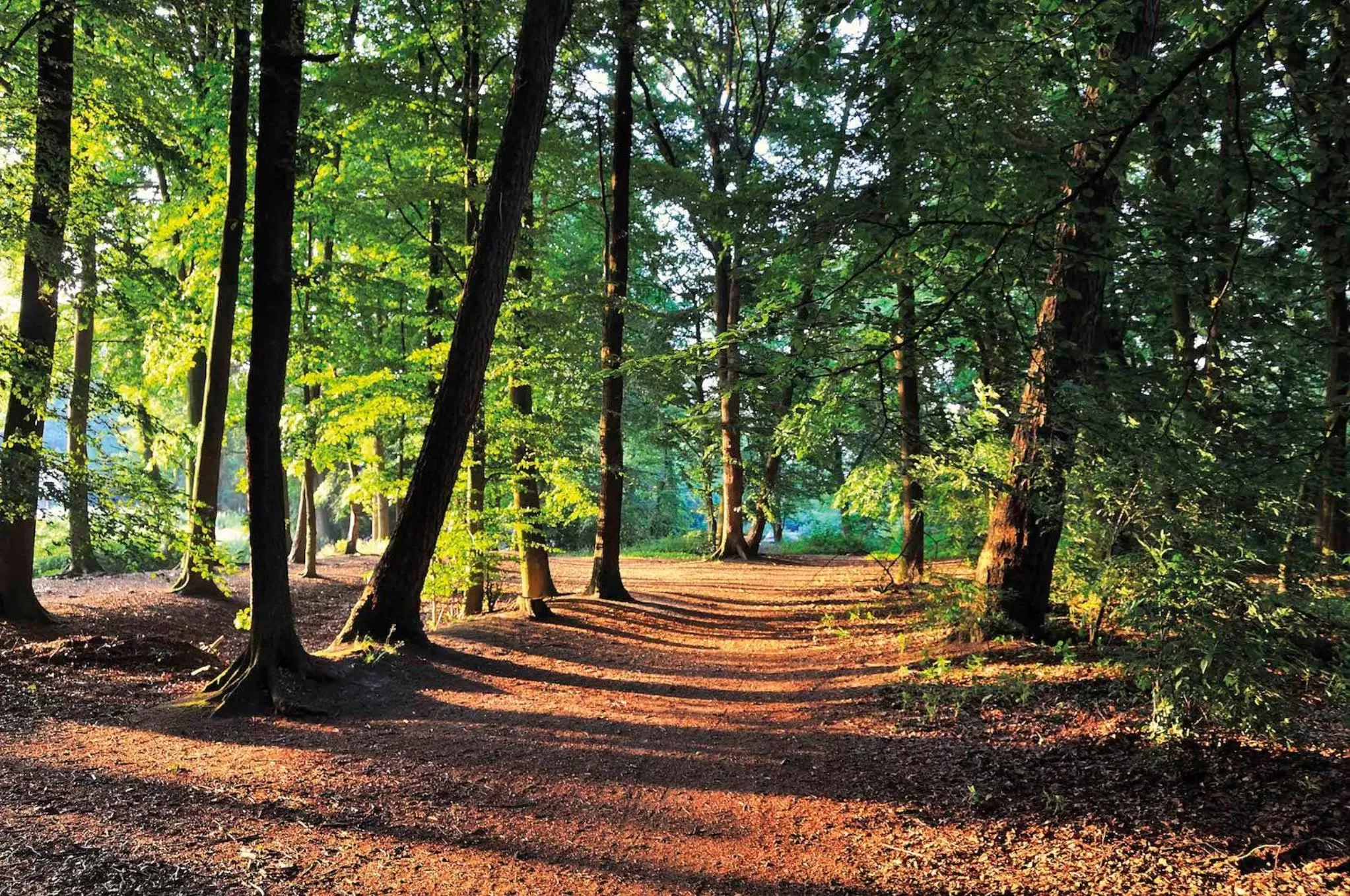 Hiking in Lindenhof Hotel Tepe