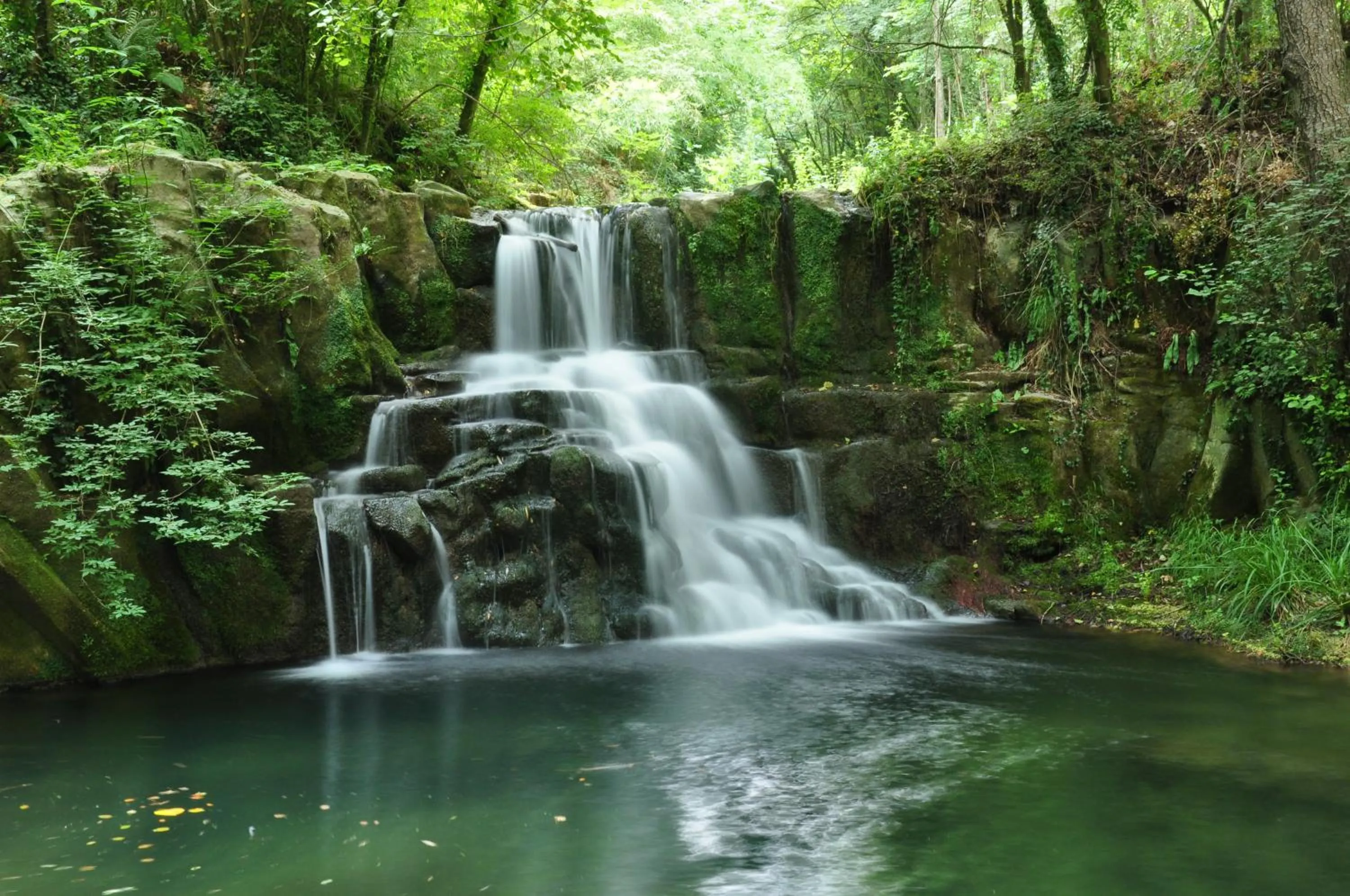 Activities in Hotel Cal Sastre