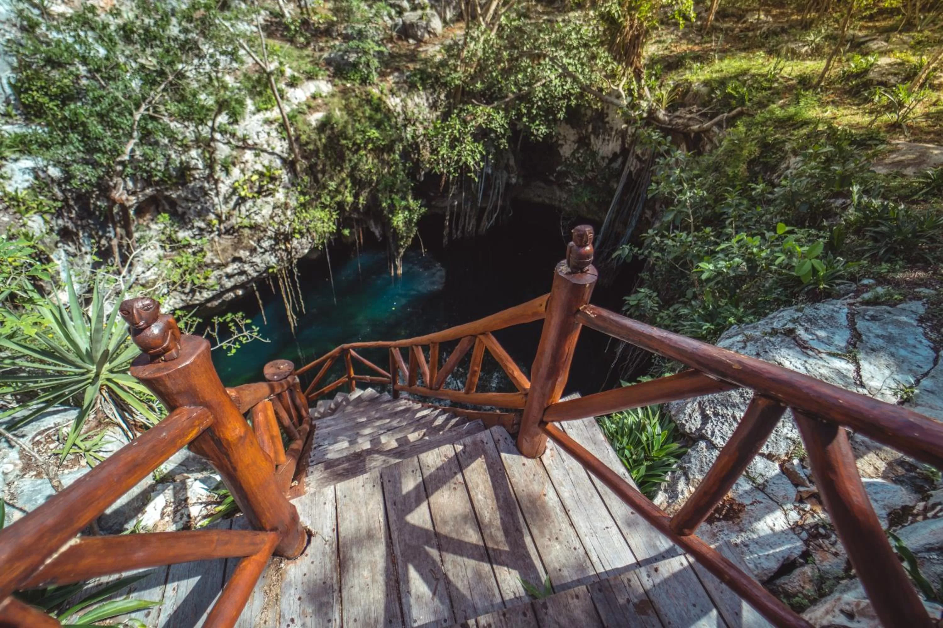 Natural landscape in Destino Mío Mayan Jungle Retreat