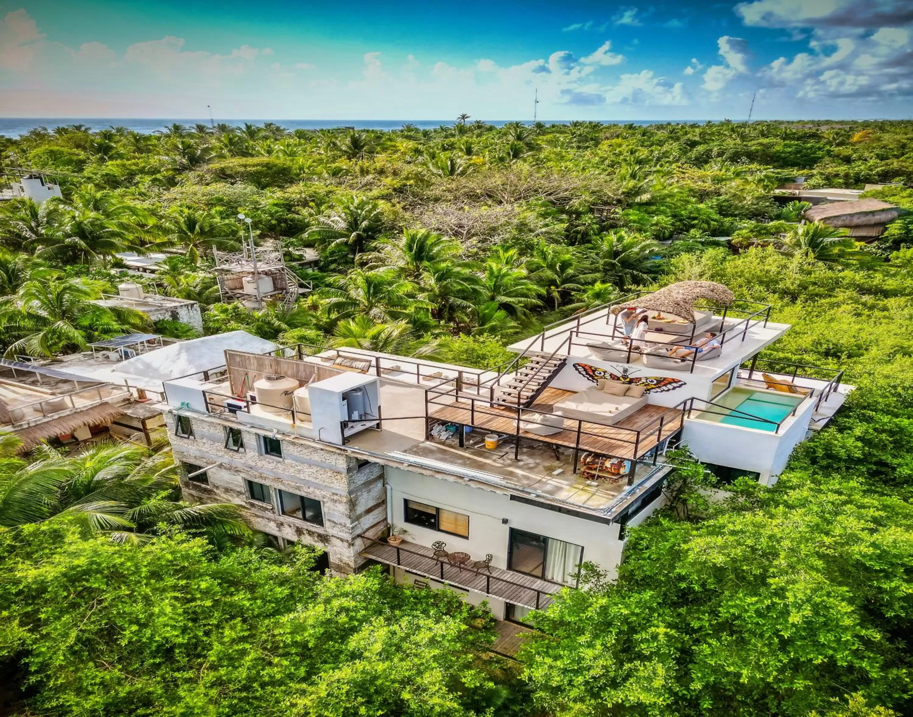 View (from property/room) in Suites Tulum