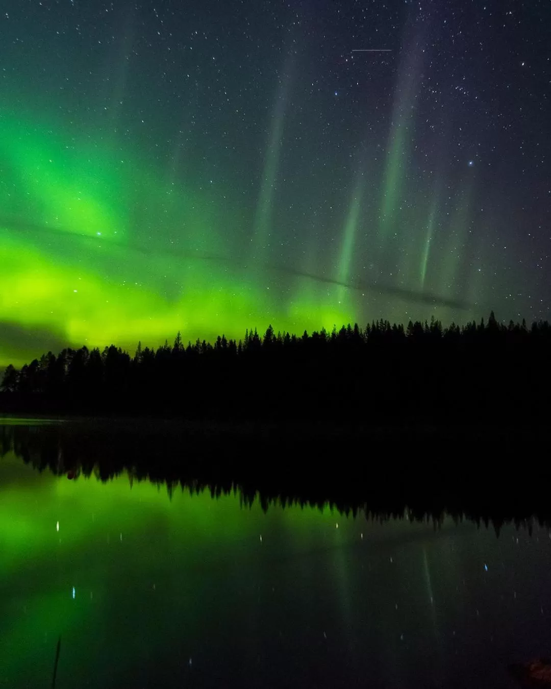 Natural landscape in Peace & Quiet Hotel