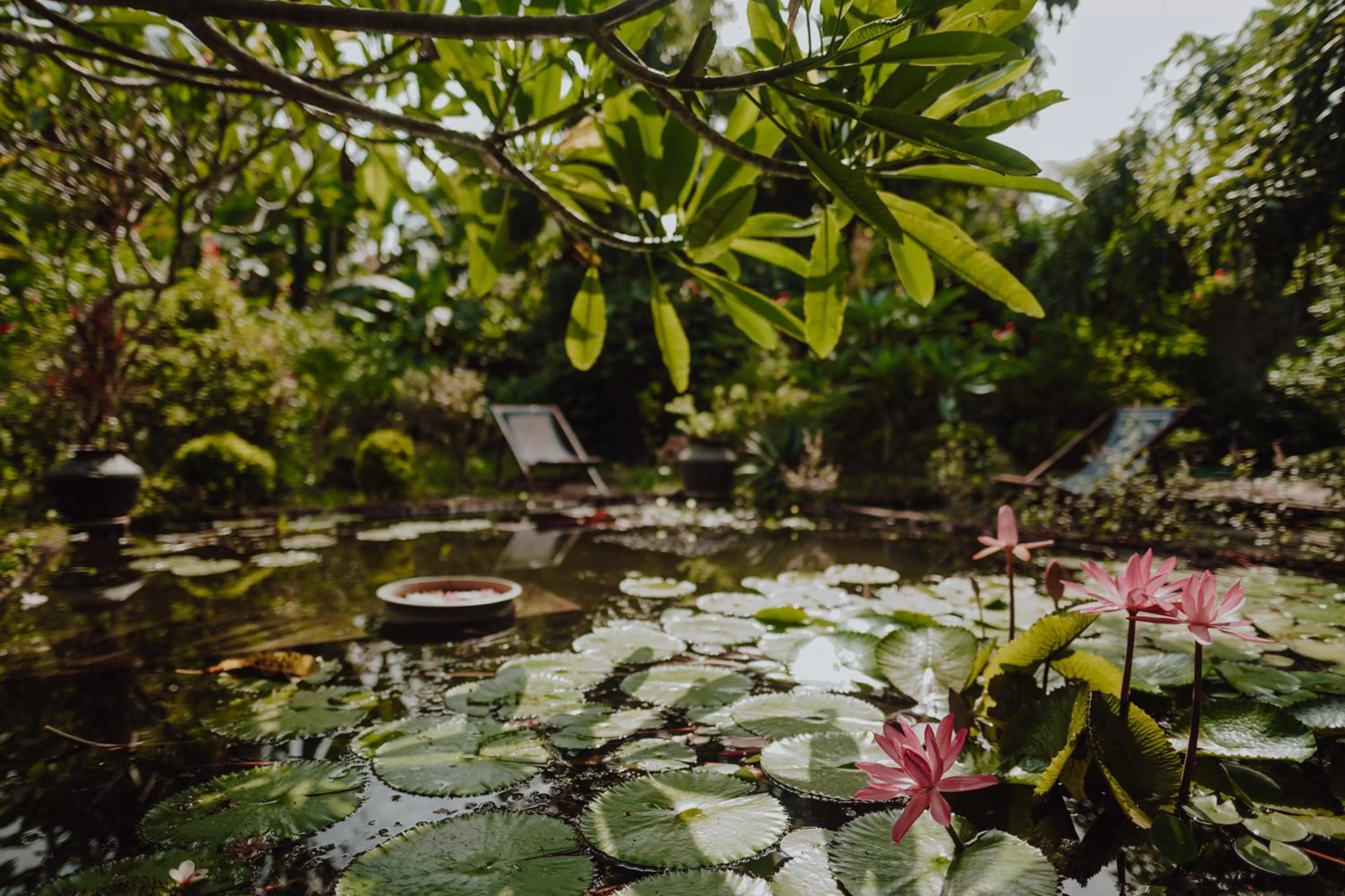 Garden in Villa Akasa