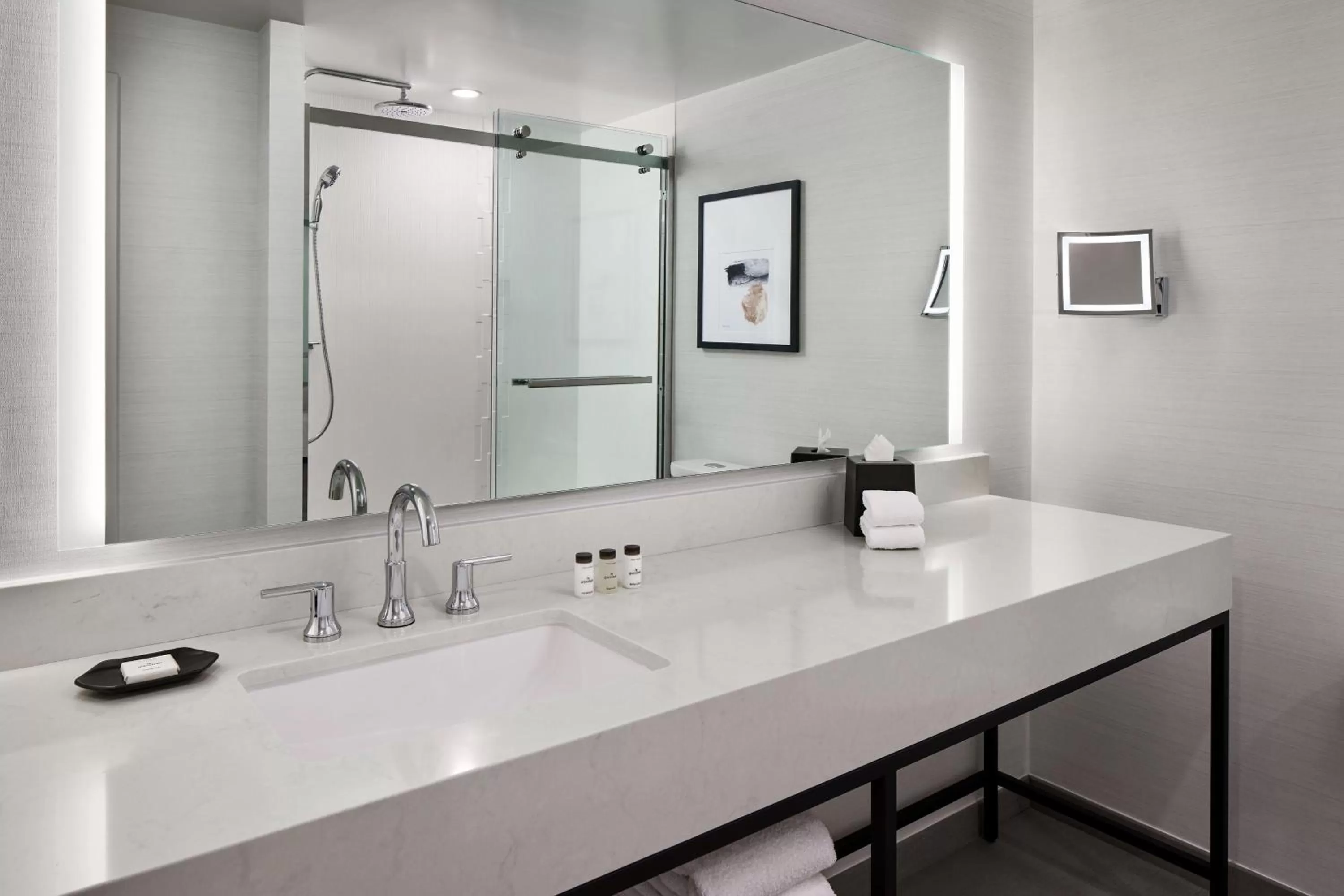 Bathroom in Sheraton Reston