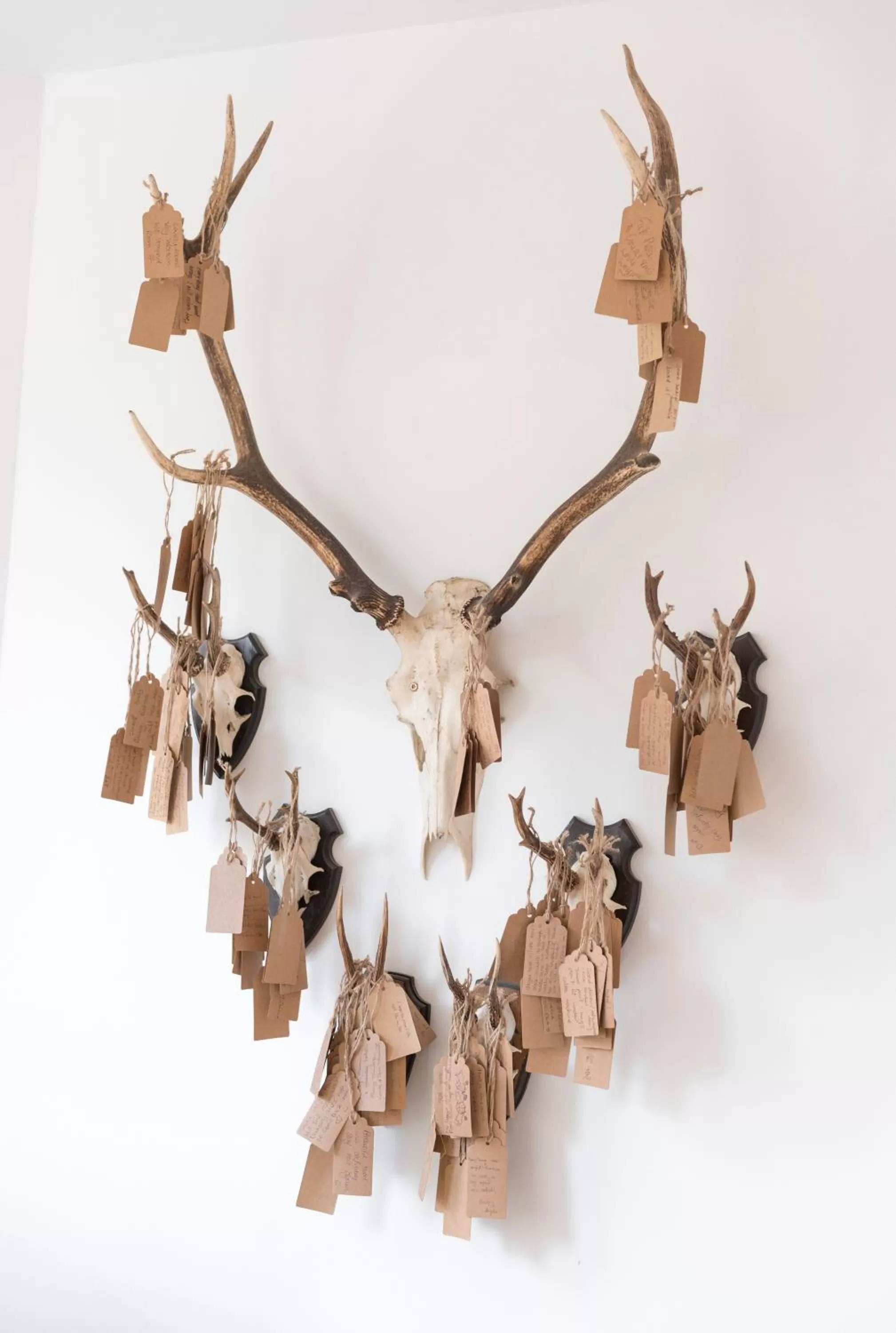 Decorative detail in Jorvik House