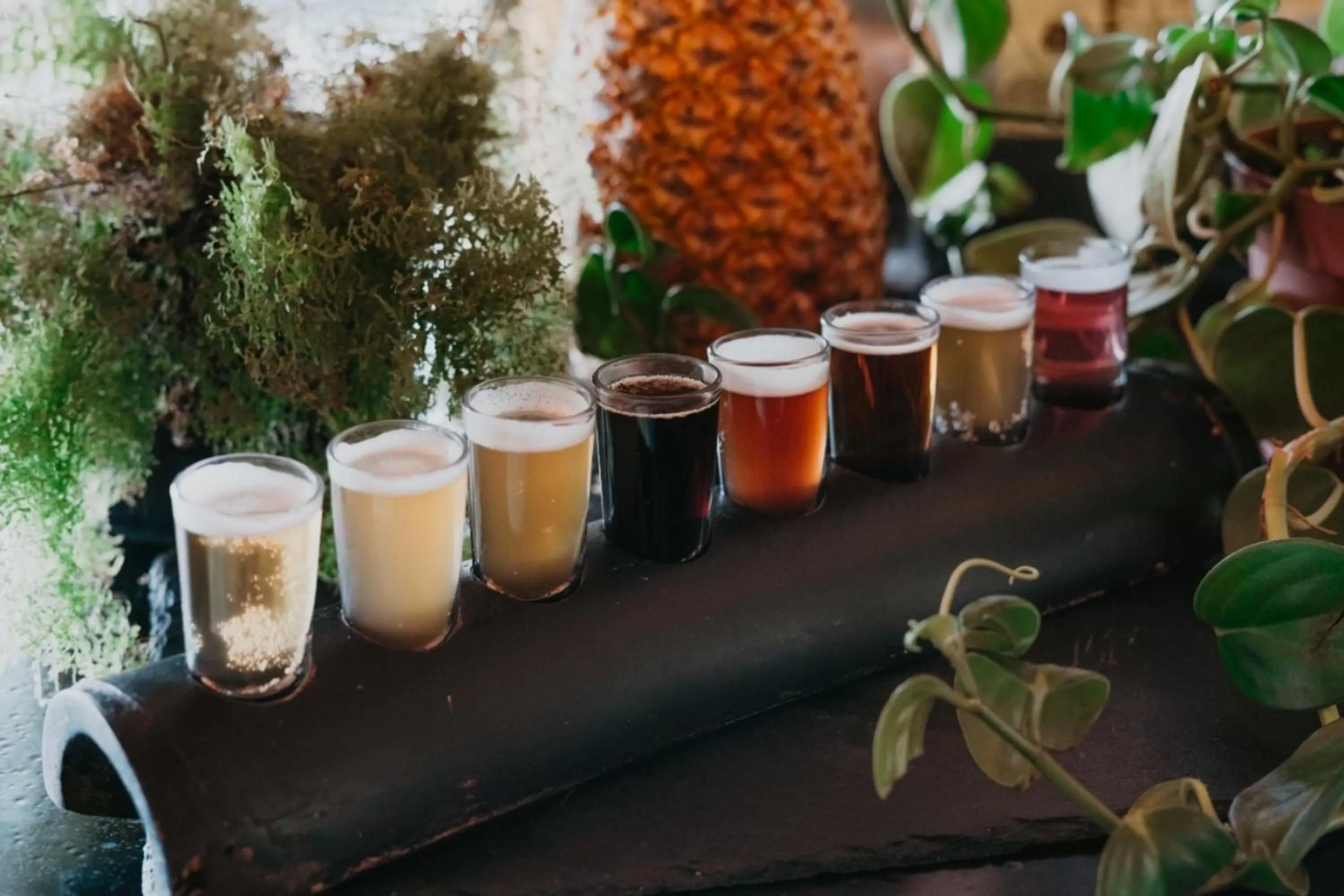 Lounge or bar in Lake Arenal Brewery & Hotel