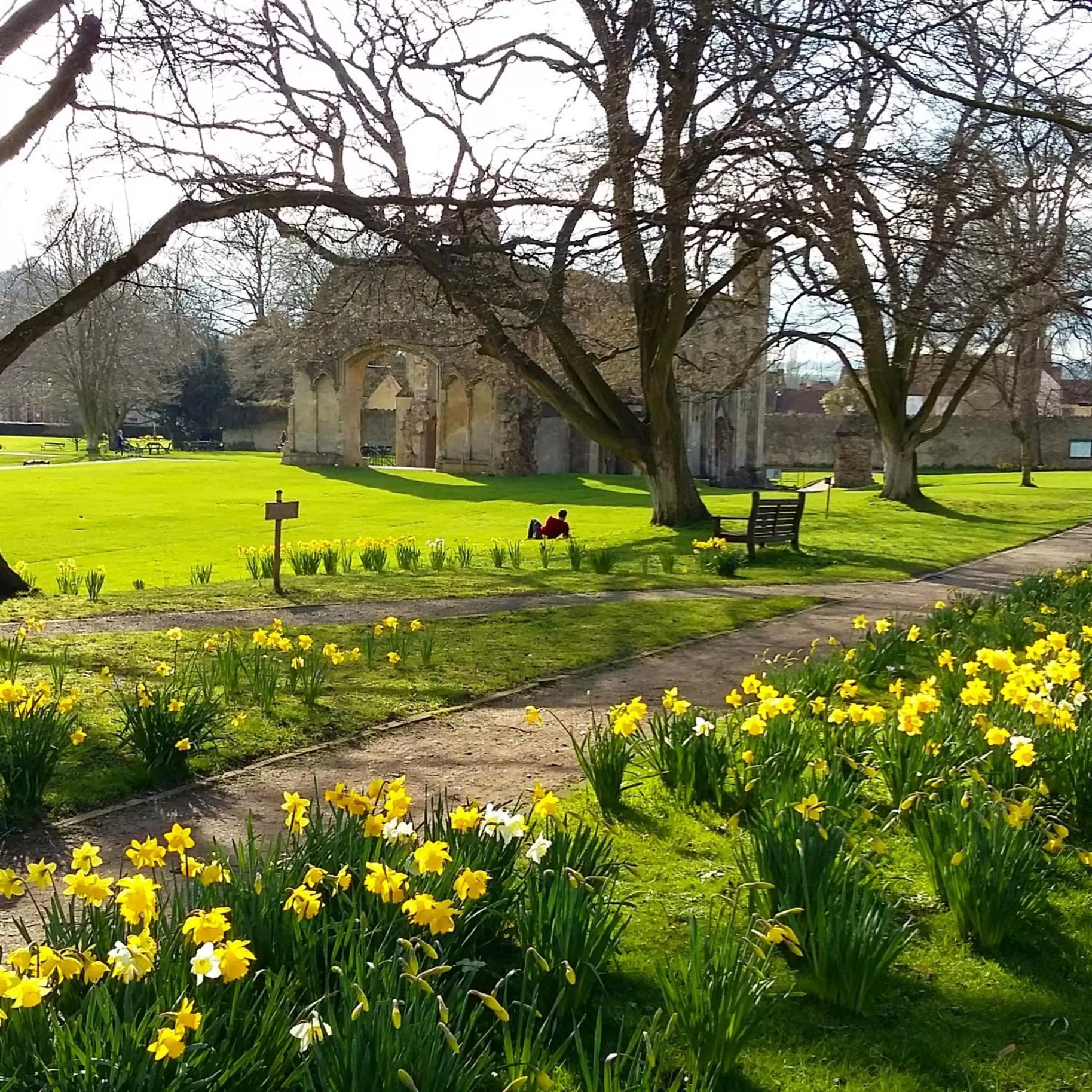 Area and facilities in AROHA
