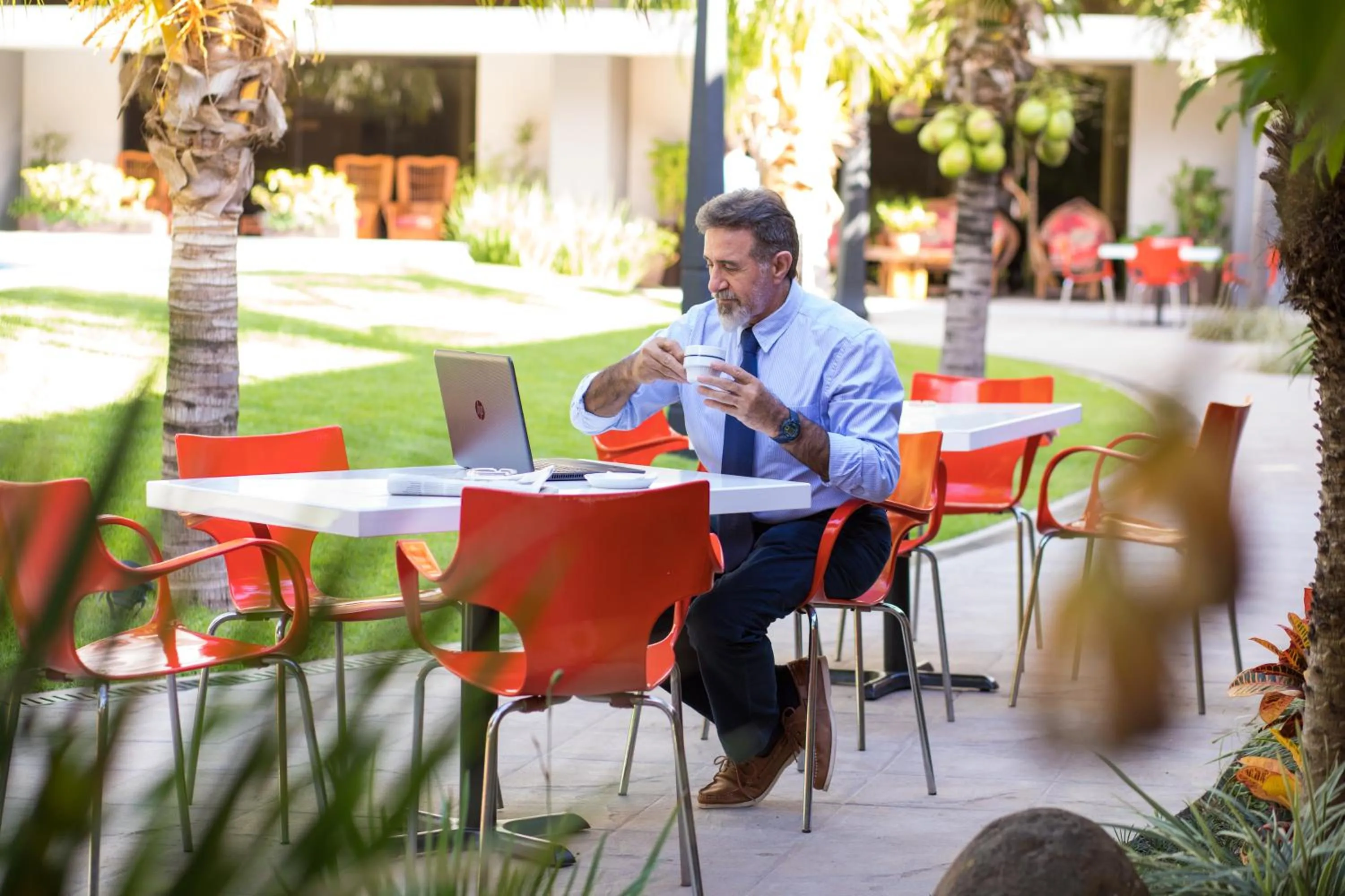 Garden in Hotel Cortez