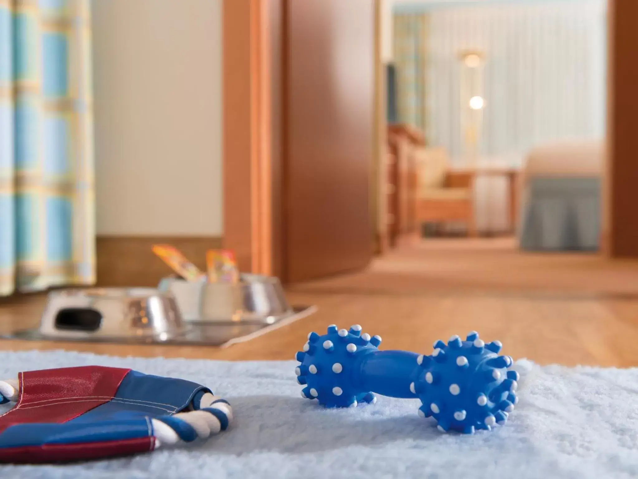 Double Room for Dog Owners in Hotel Bernstein Prerow Double Room for Dog Owners in Hotel Bernstein Prerow