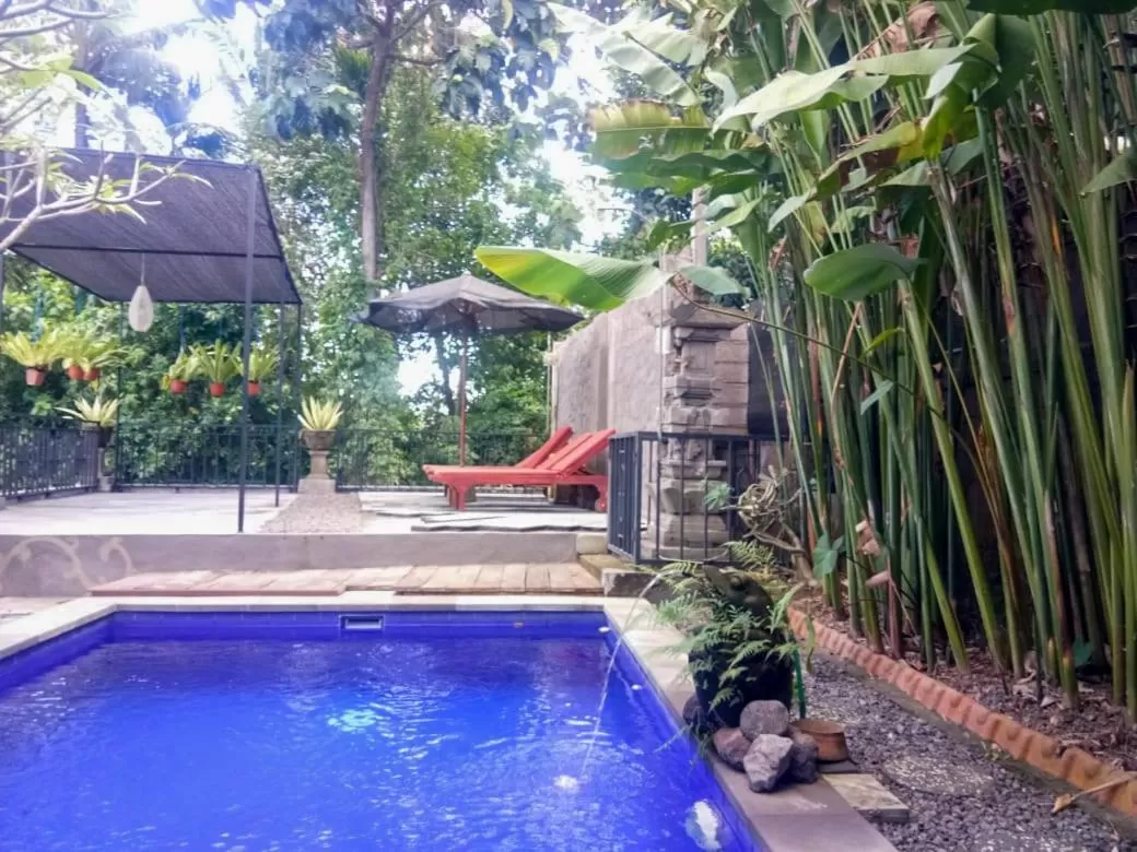 Swimming Pool in Kerta Family Bed and Breakfast