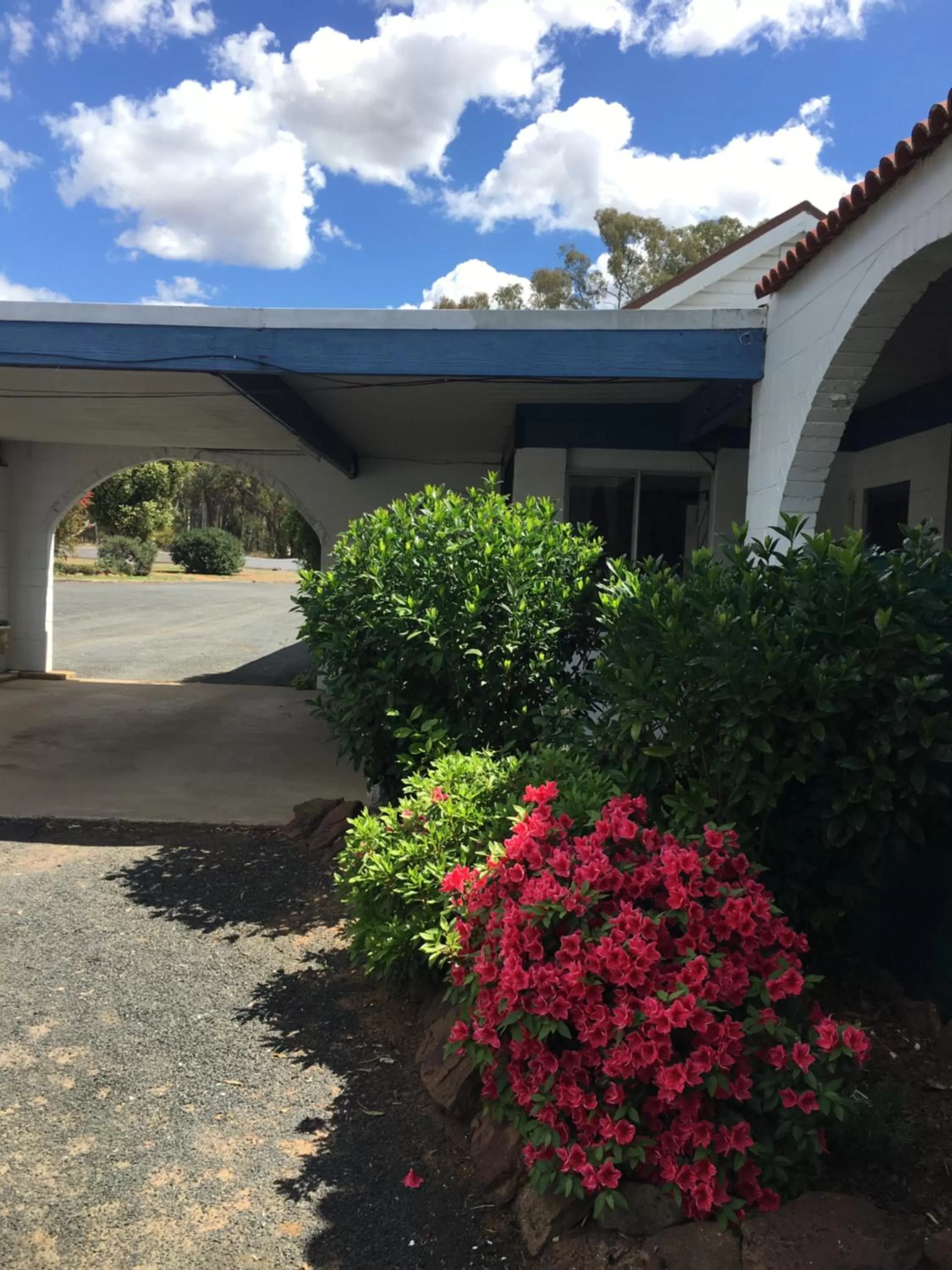 Garden view in Azalea Motel