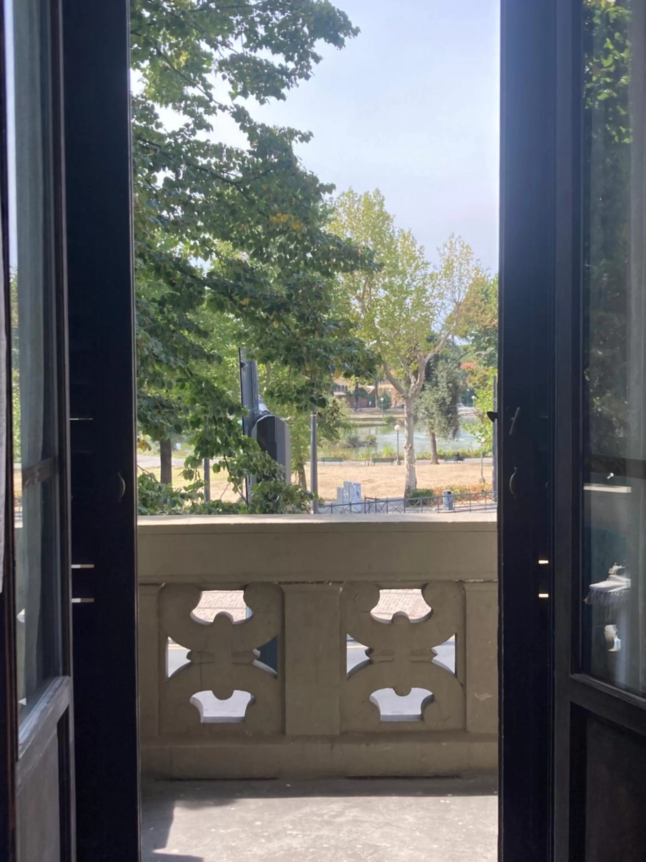 Balcony/Terrace in Hotel Fedora