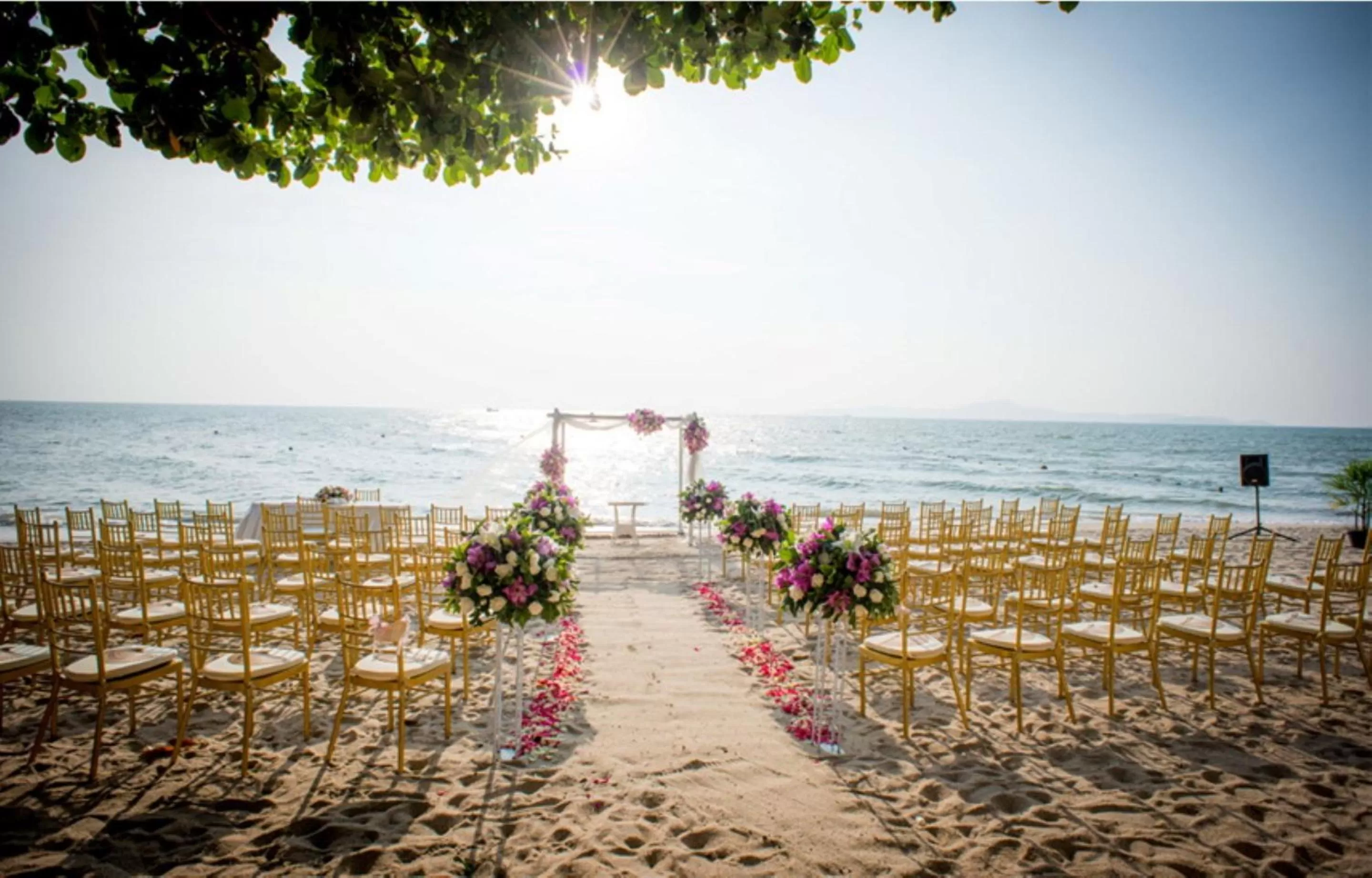 Banquet/Function facilities in Birds and Bees Resort