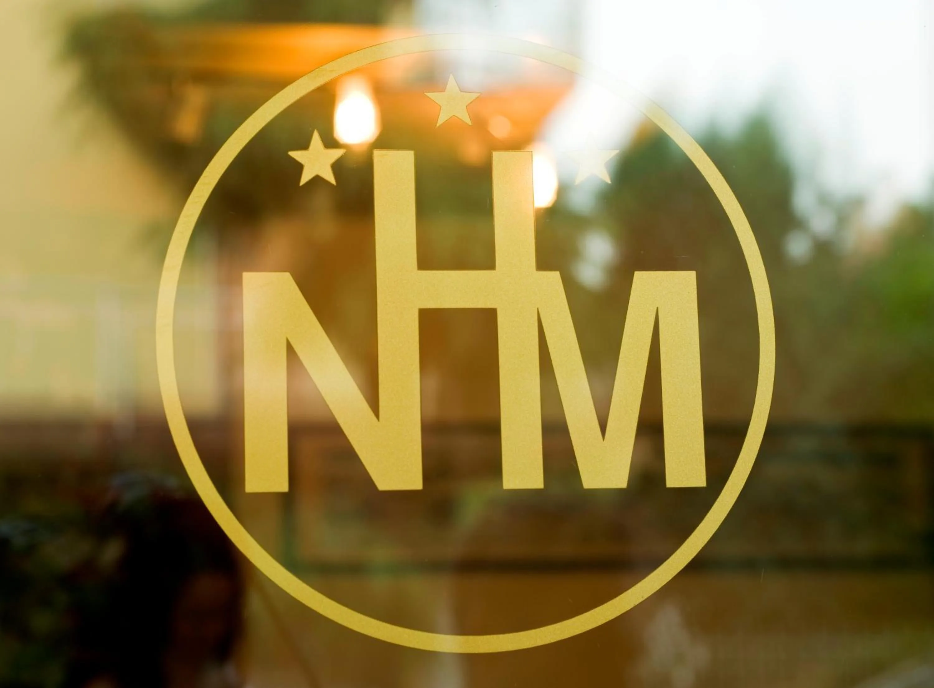 Property logo or sign in Hotel Nuova Mestre