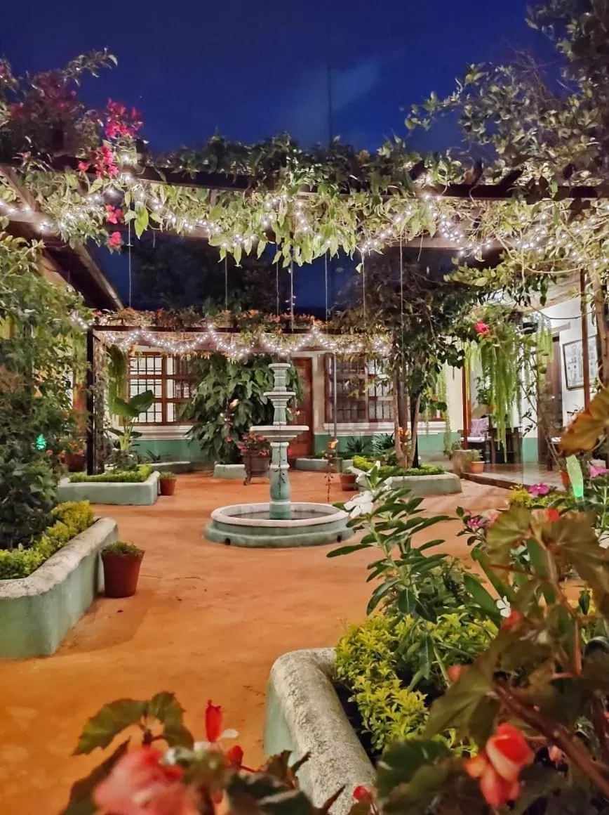 Garden in Hotel Palacio Chico 1948