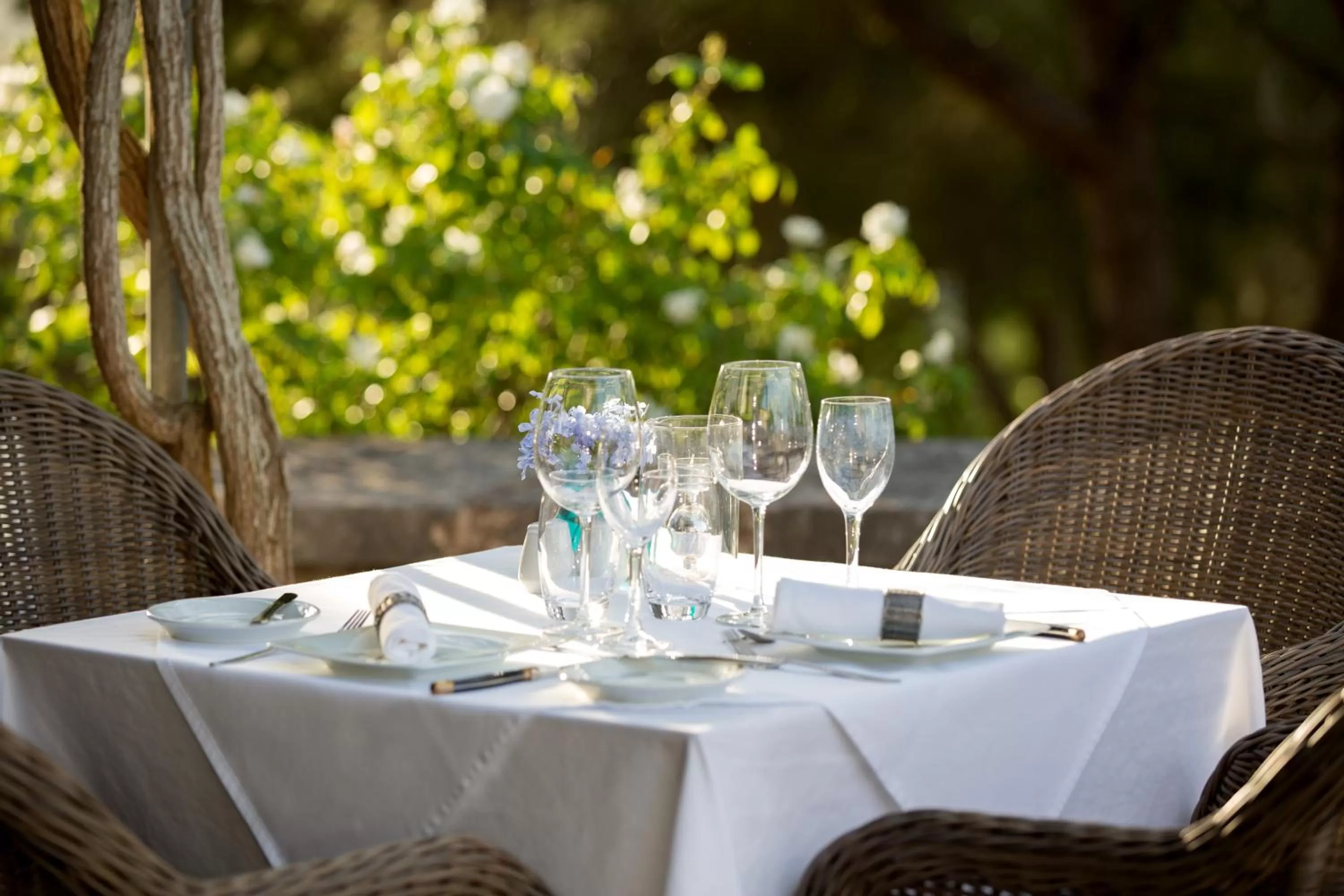 Restaurant/places to eat in Casa Font i Roig