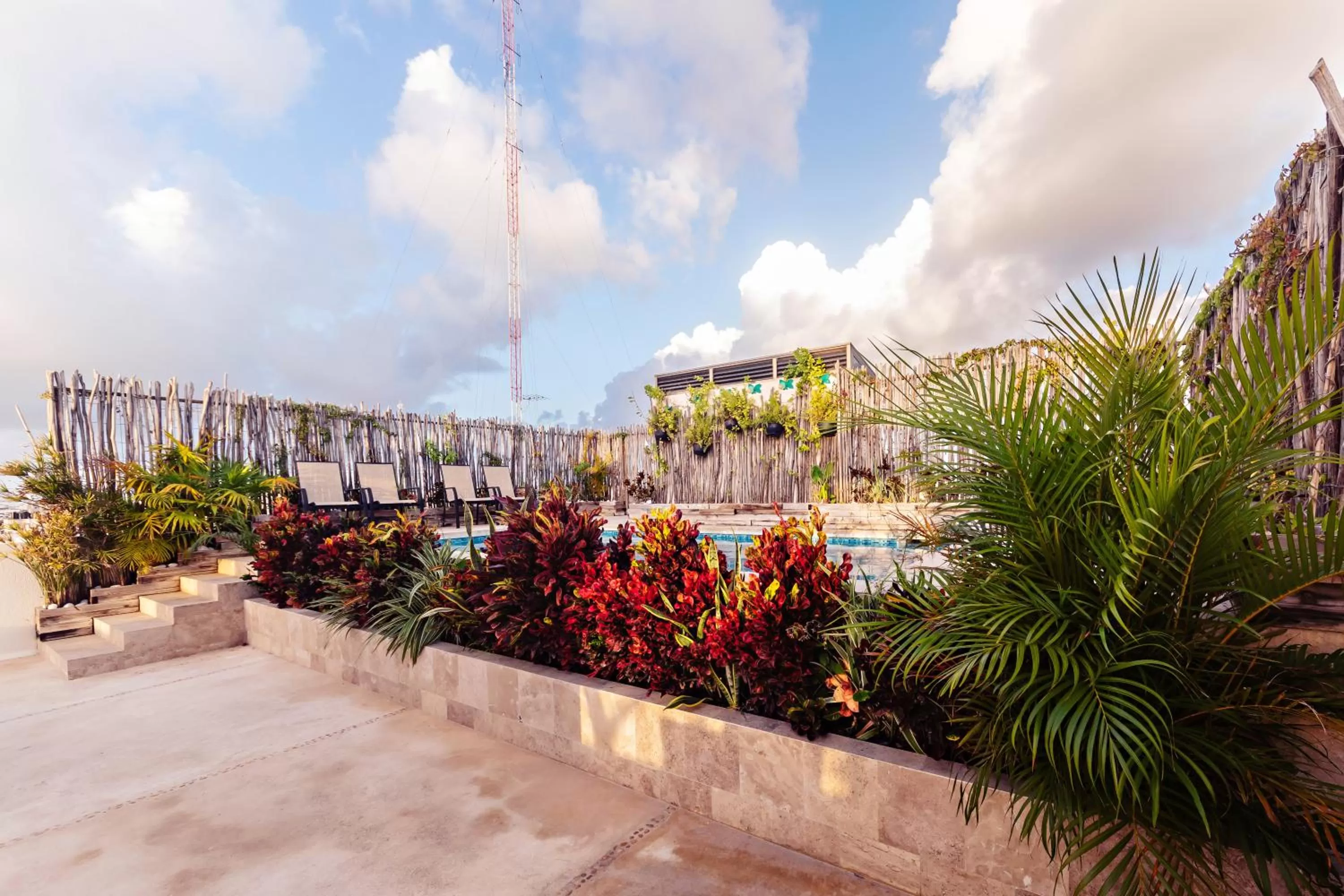 Garden in Mararena Family Apartments & Long Stay Living - Steps from 5th Avenue