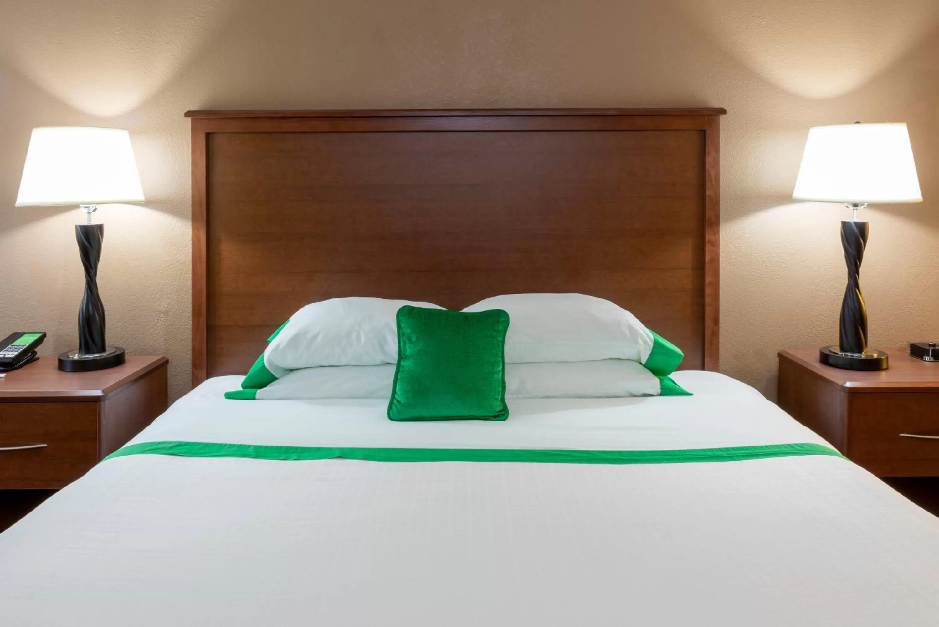 One King Bed in GuestHouse Inn & Suites Rochester