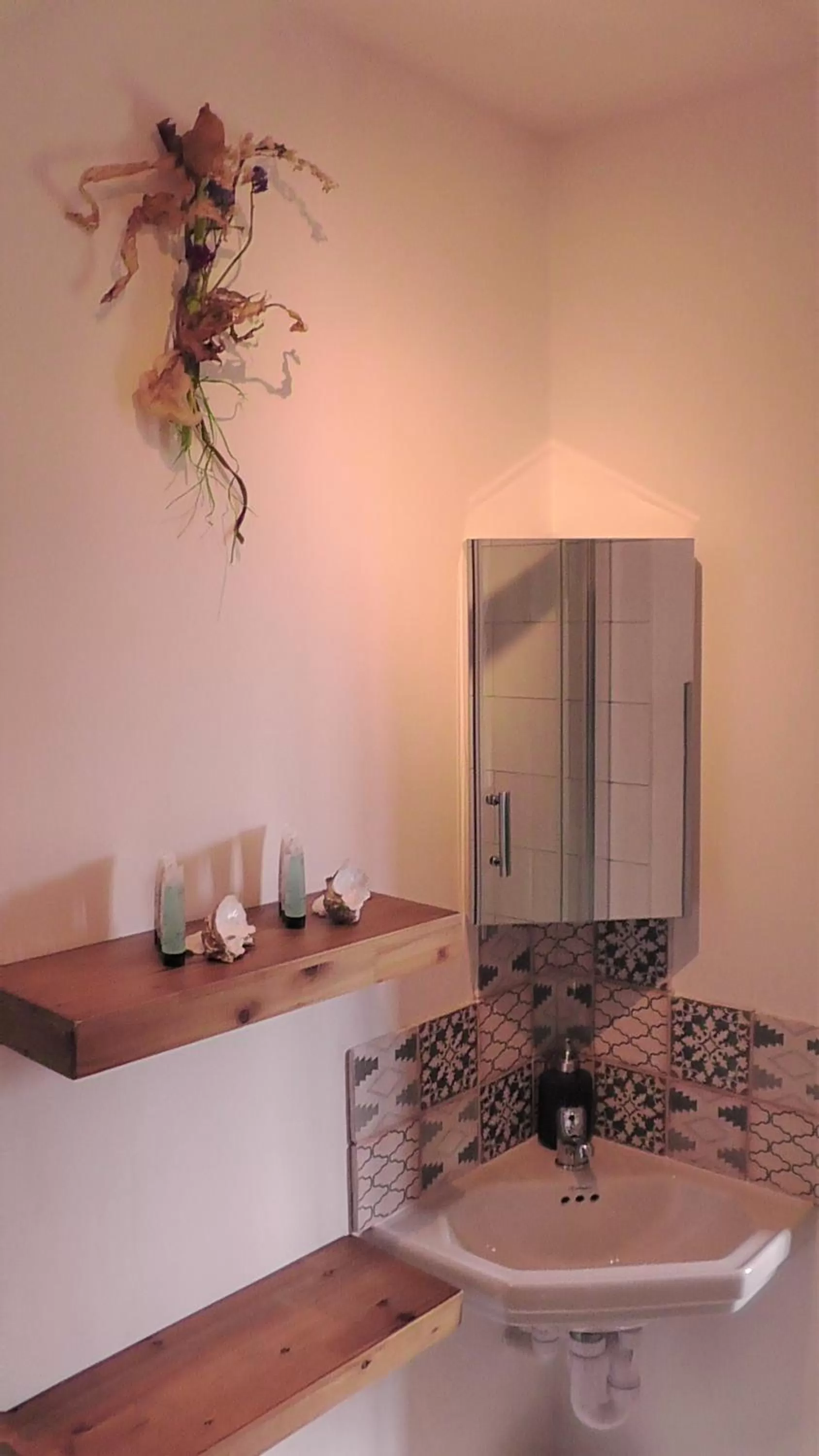 Kitchen/Kitchenette in Wagtail Lodge