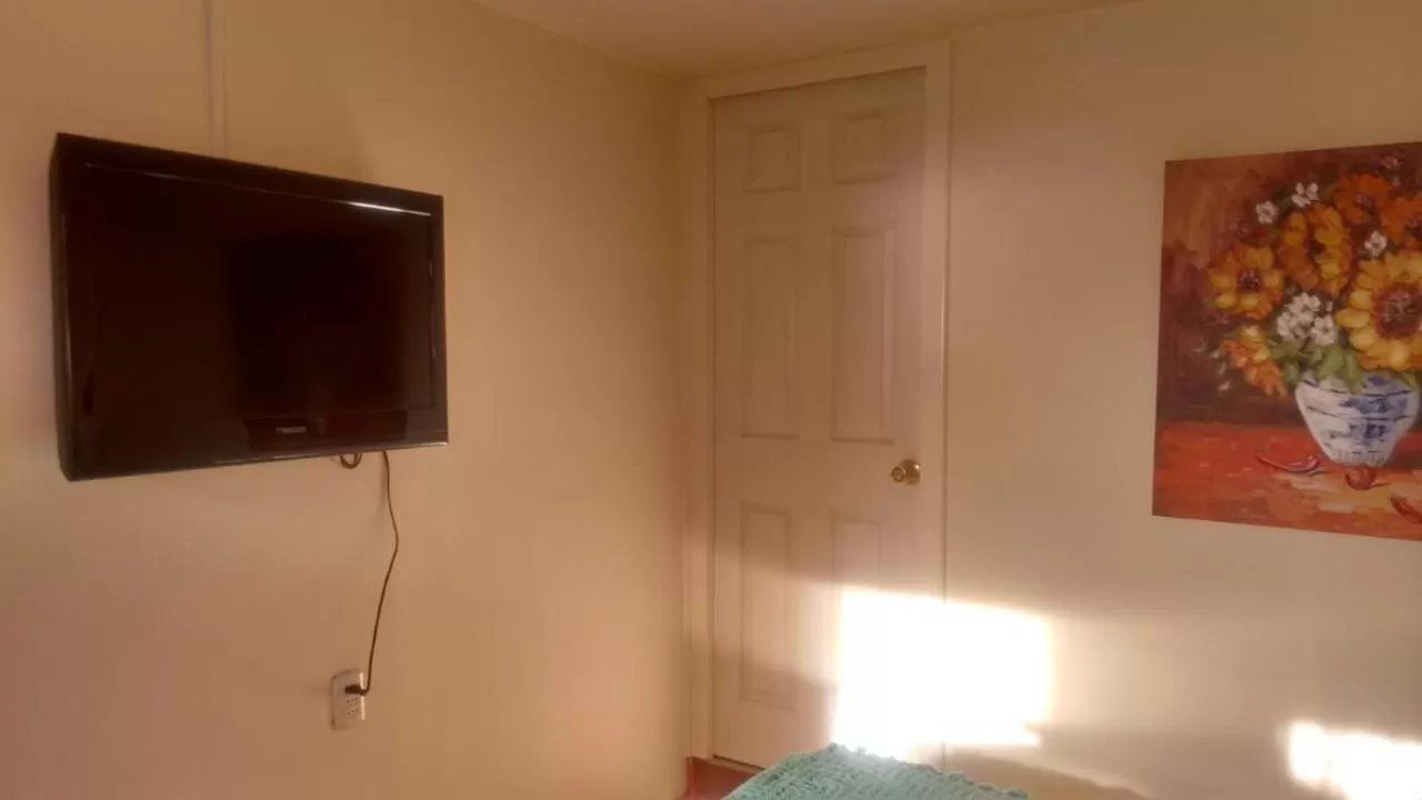 Decorative detail, TV/Entertainment Center in Hostal Miramar