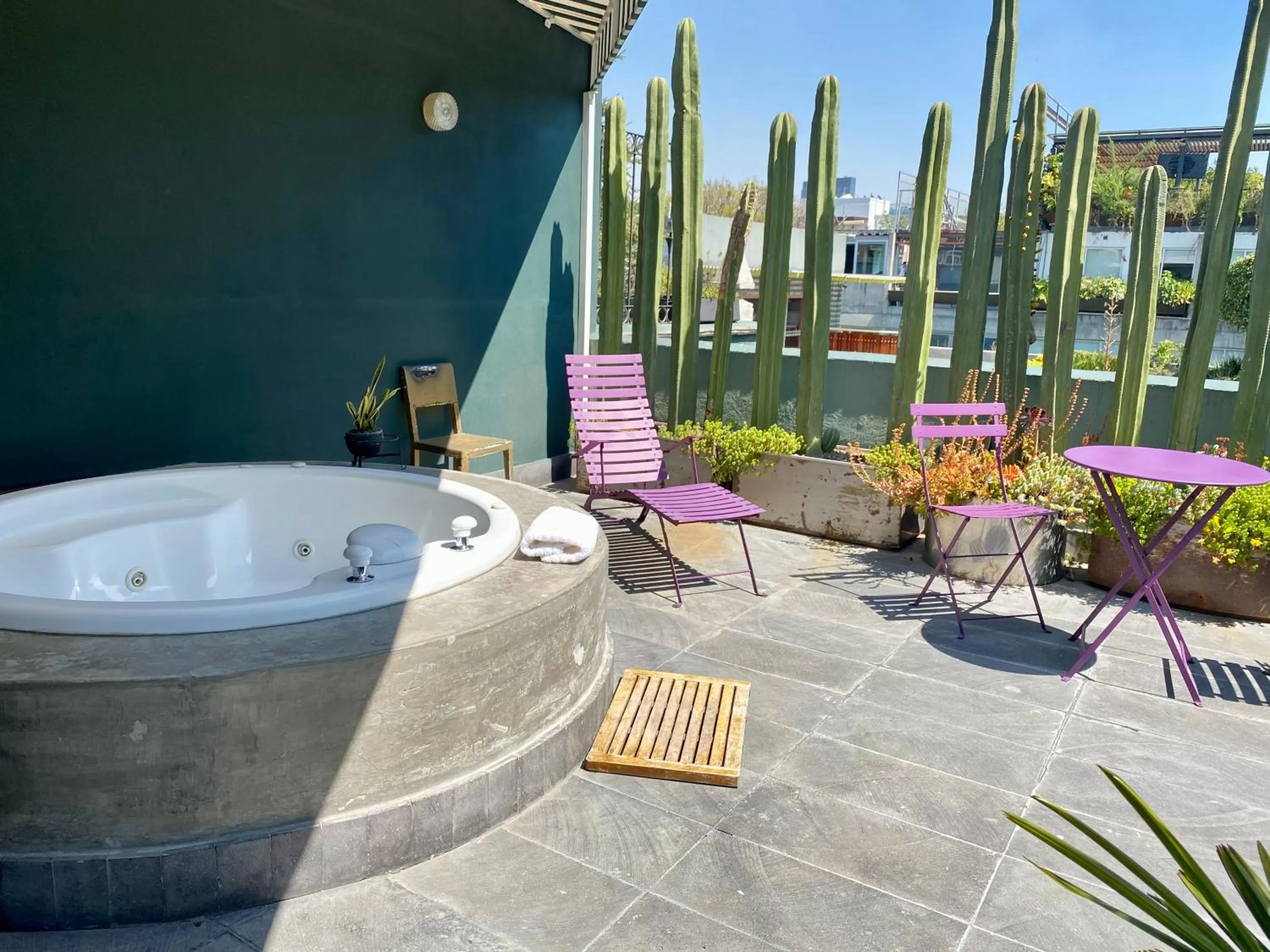 City view in Pug Seal Polanco Anatole France