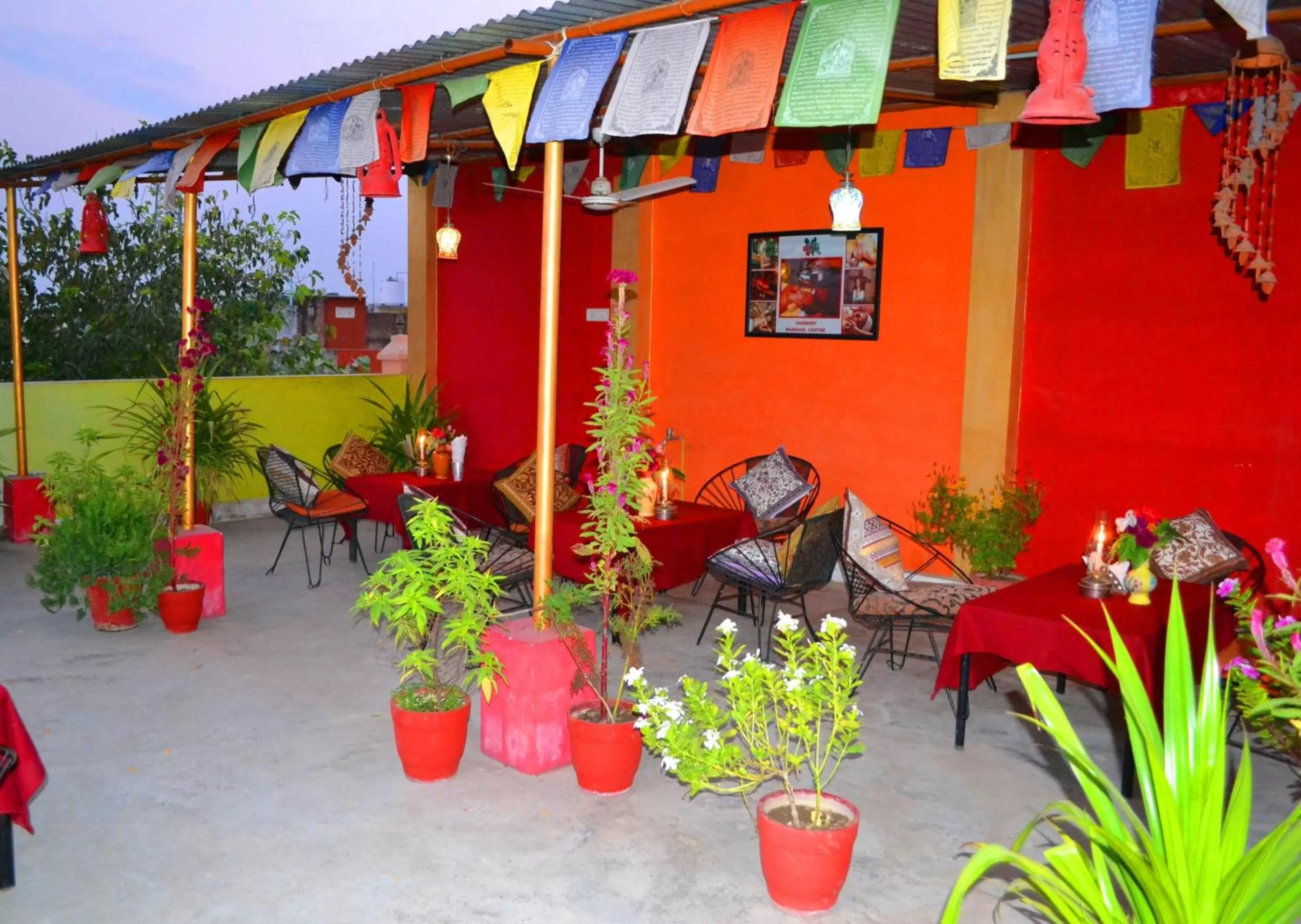 Patio in Hotel Harmony