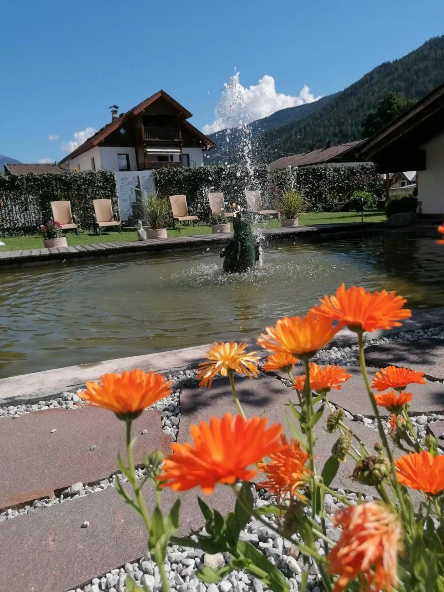 Garden in Adler Hotel-Pension