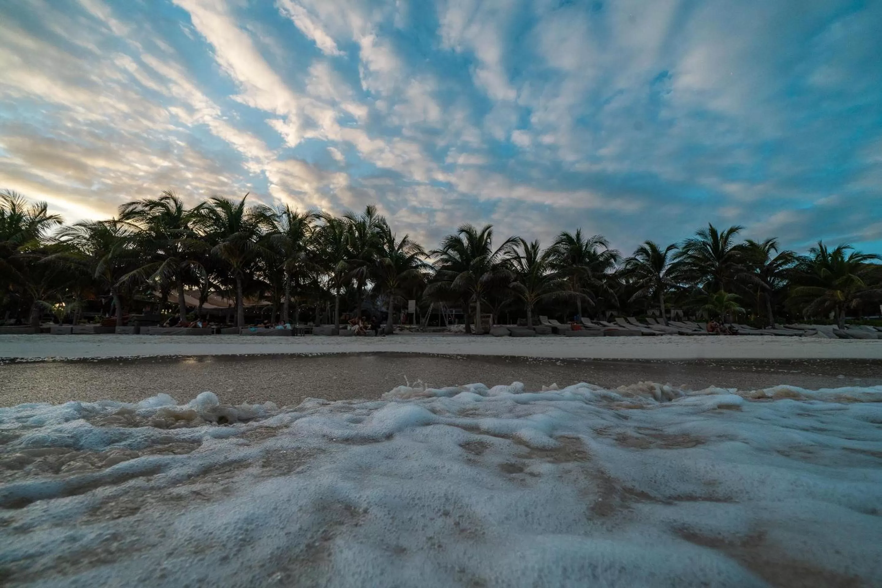 Natural landscape, Beach in Selina Tulum