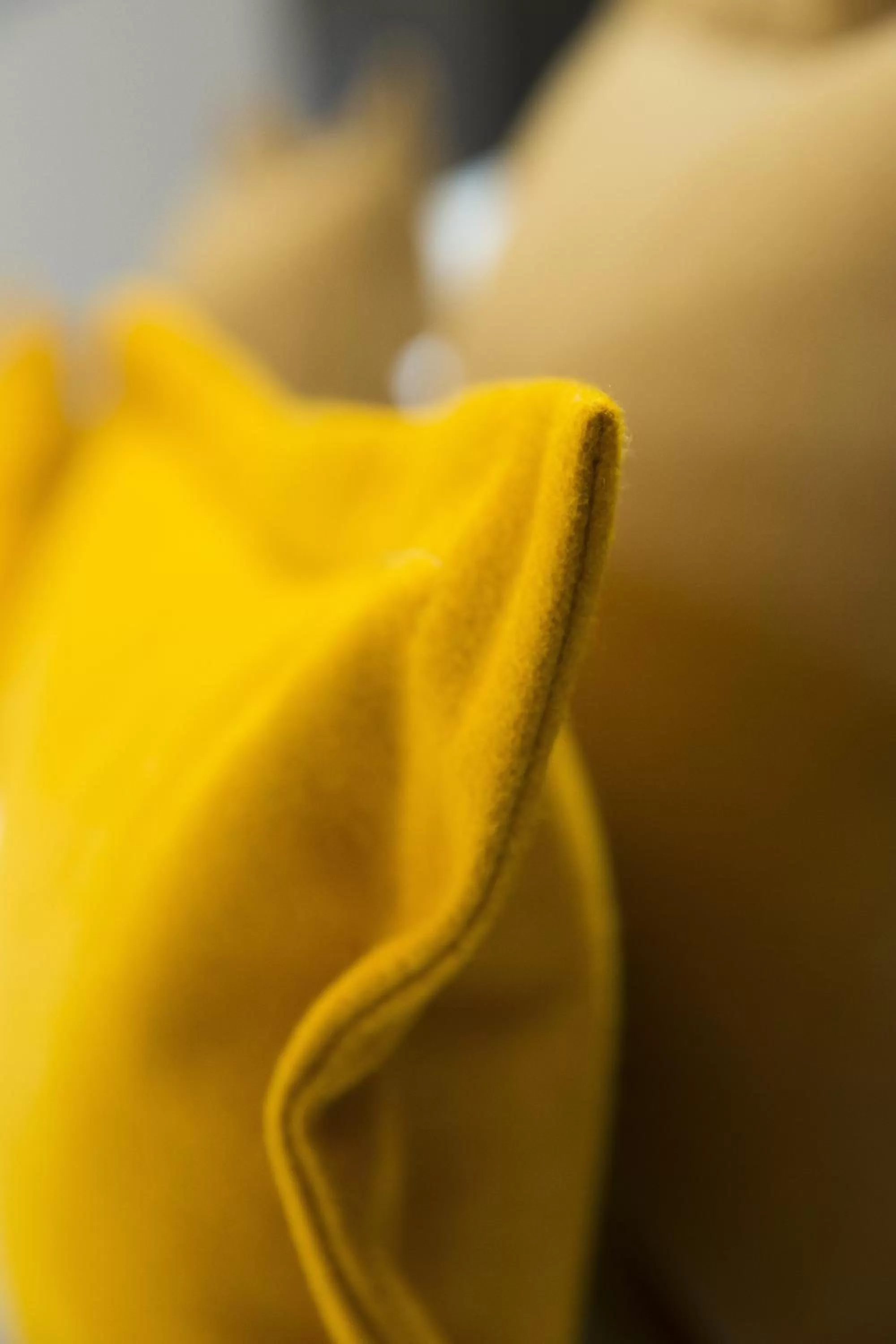 Decorative detail in Hotel D - Strasbourg