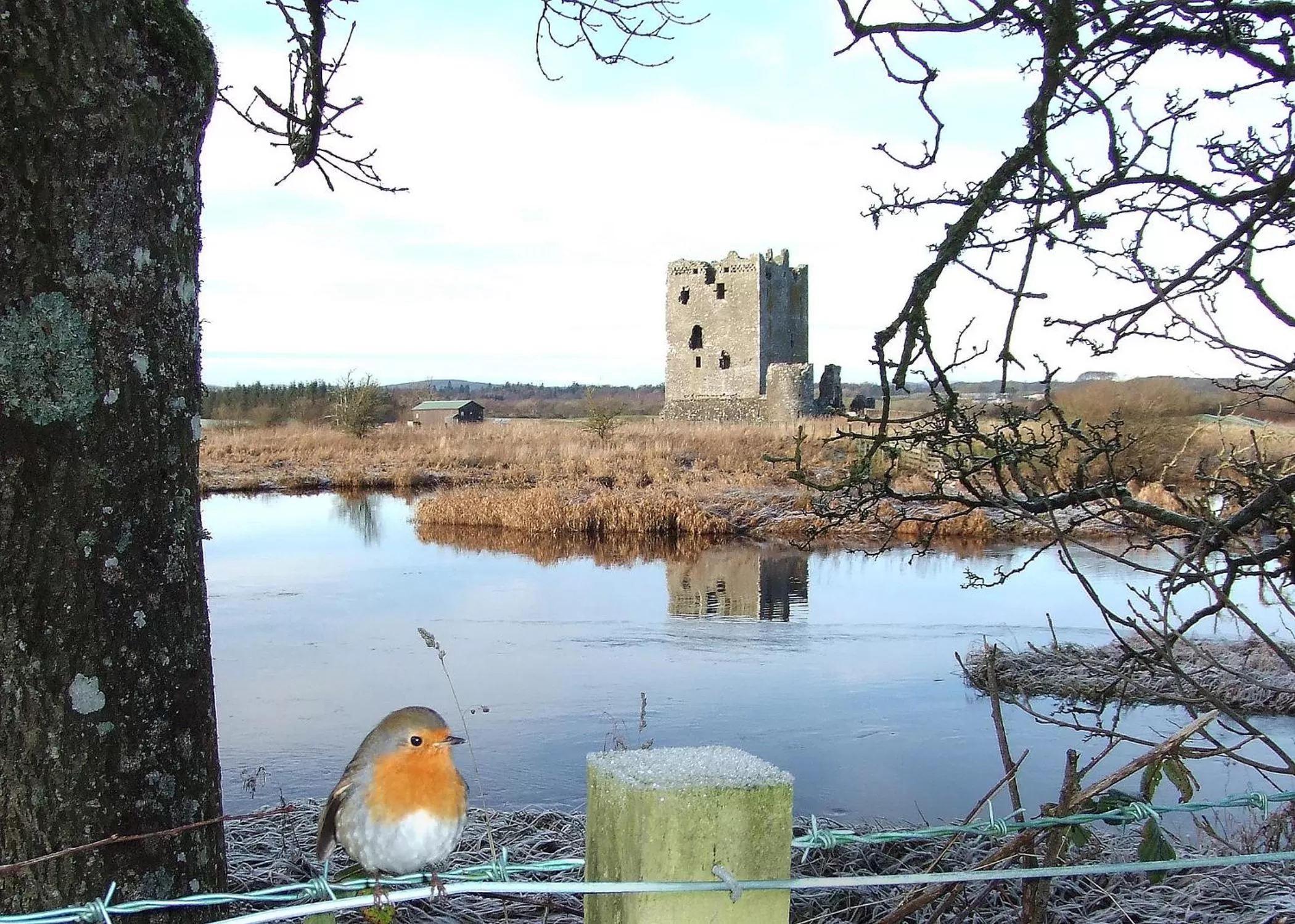 Natural landscape in Douglas House