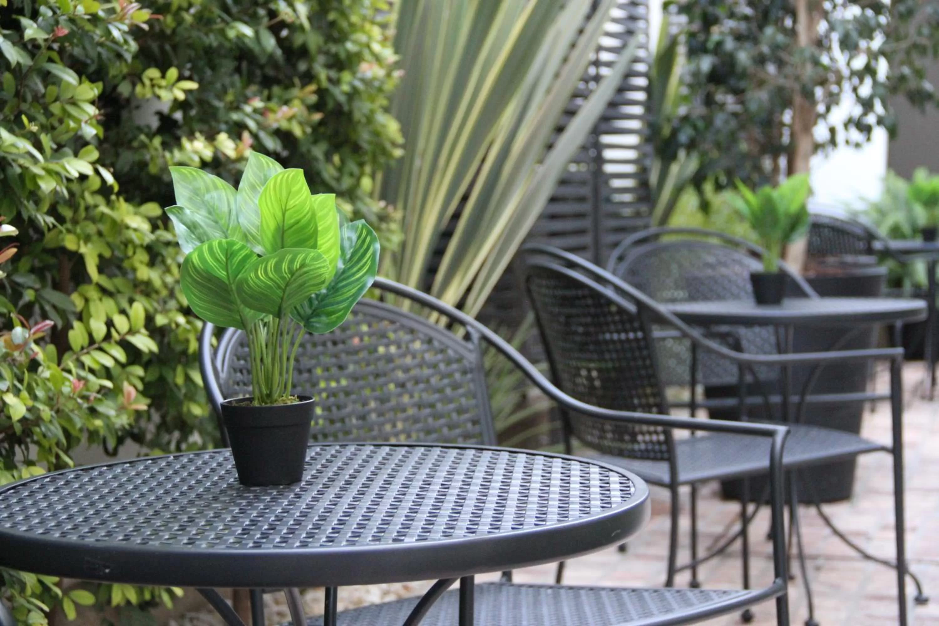 Patio in MG Design Hotel Boutique