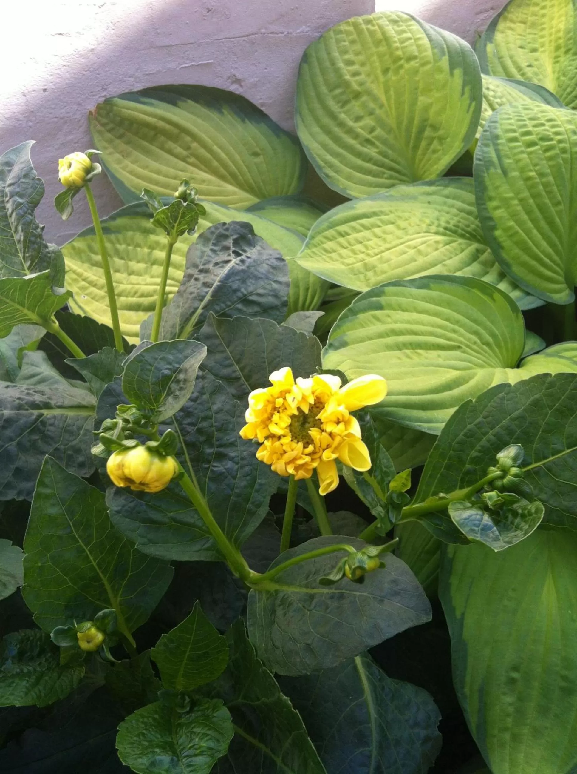 Other in Det Lille Hotel