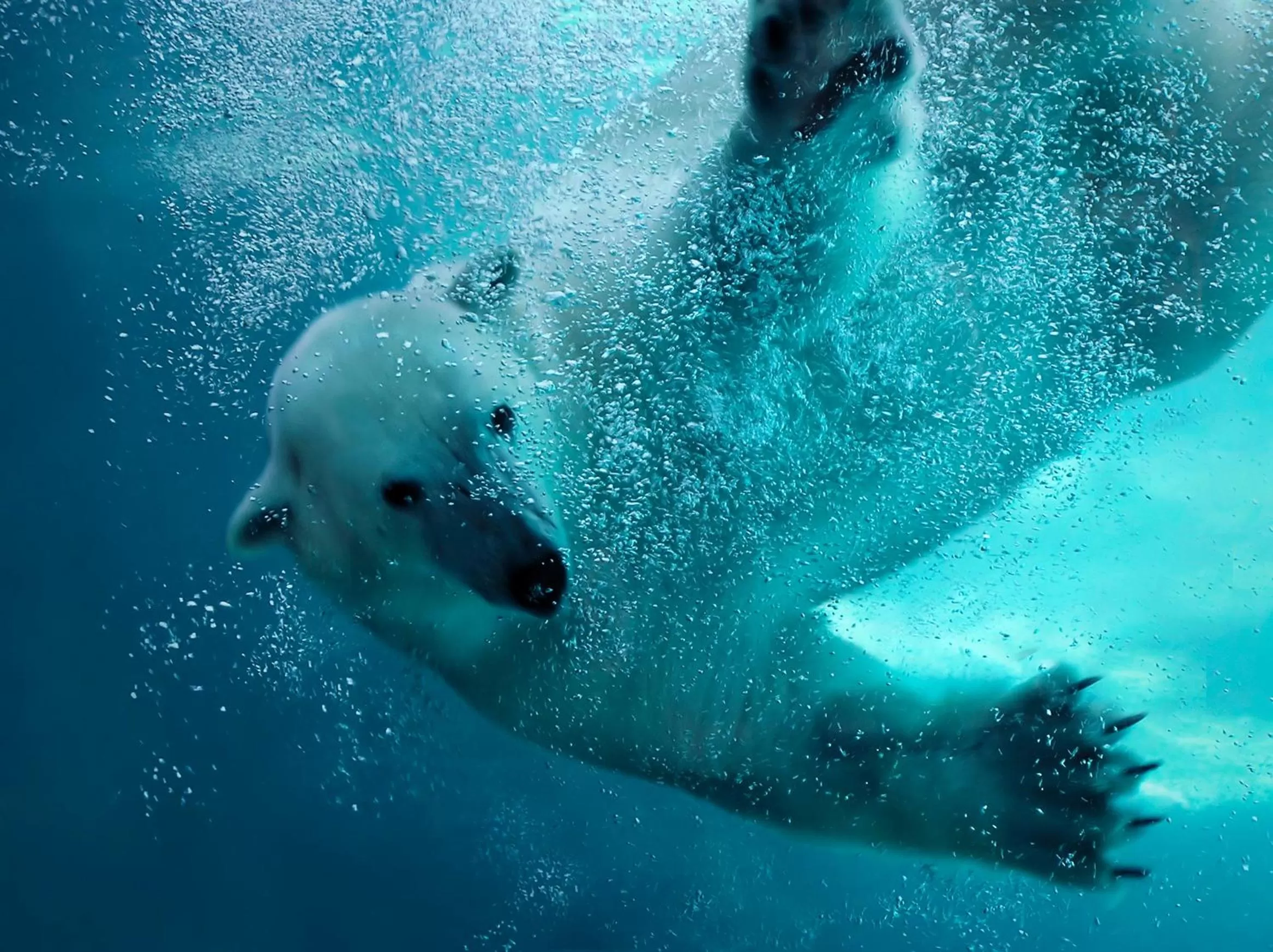 Bird's-eye View in Van der Valk Hotel Emmen
