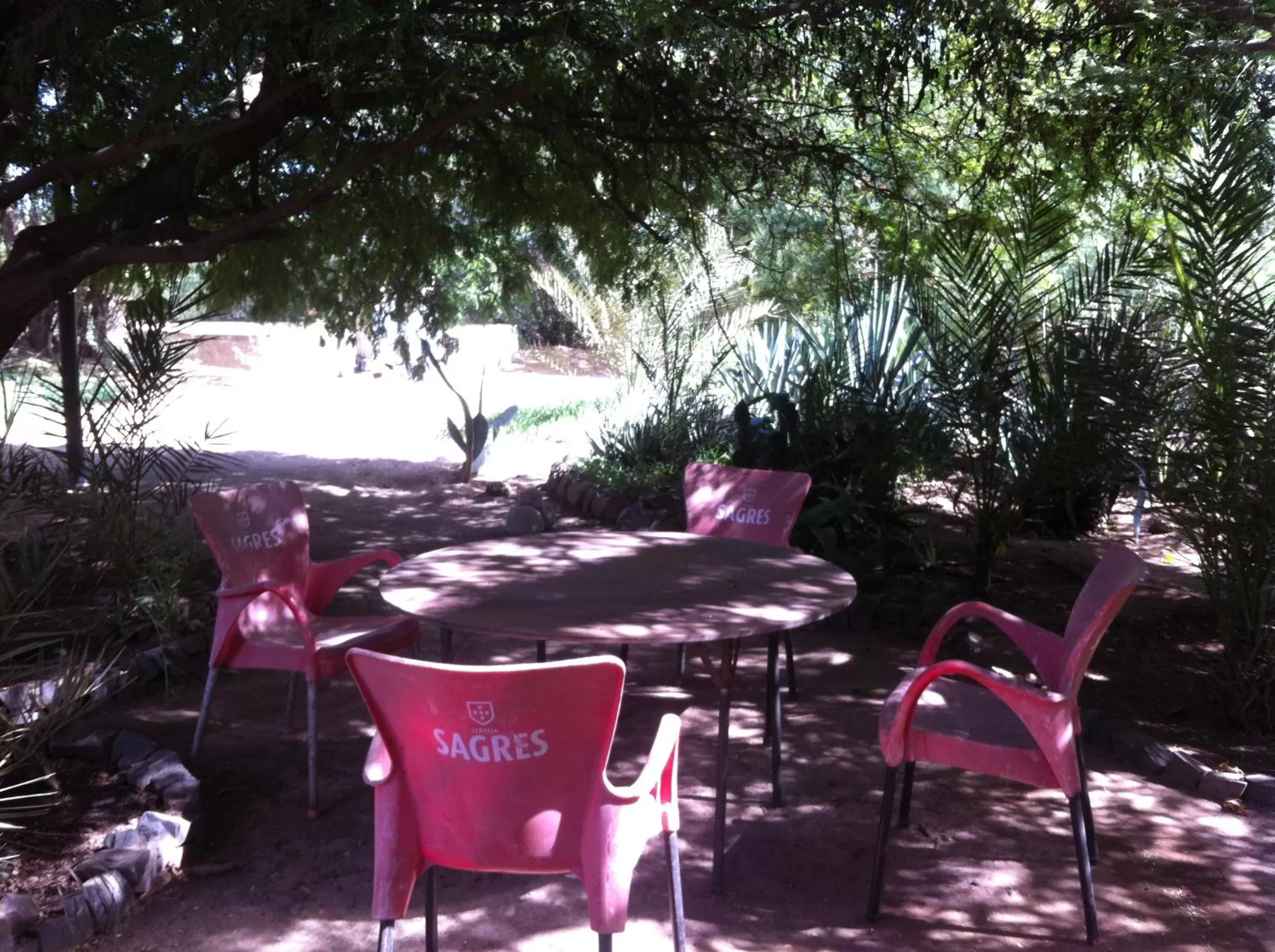 Balcony/Terrace in Villa Morabeza Guest House