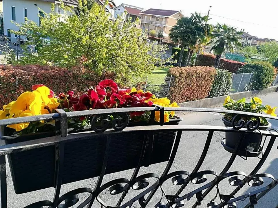 Le ginestre Le ginestre