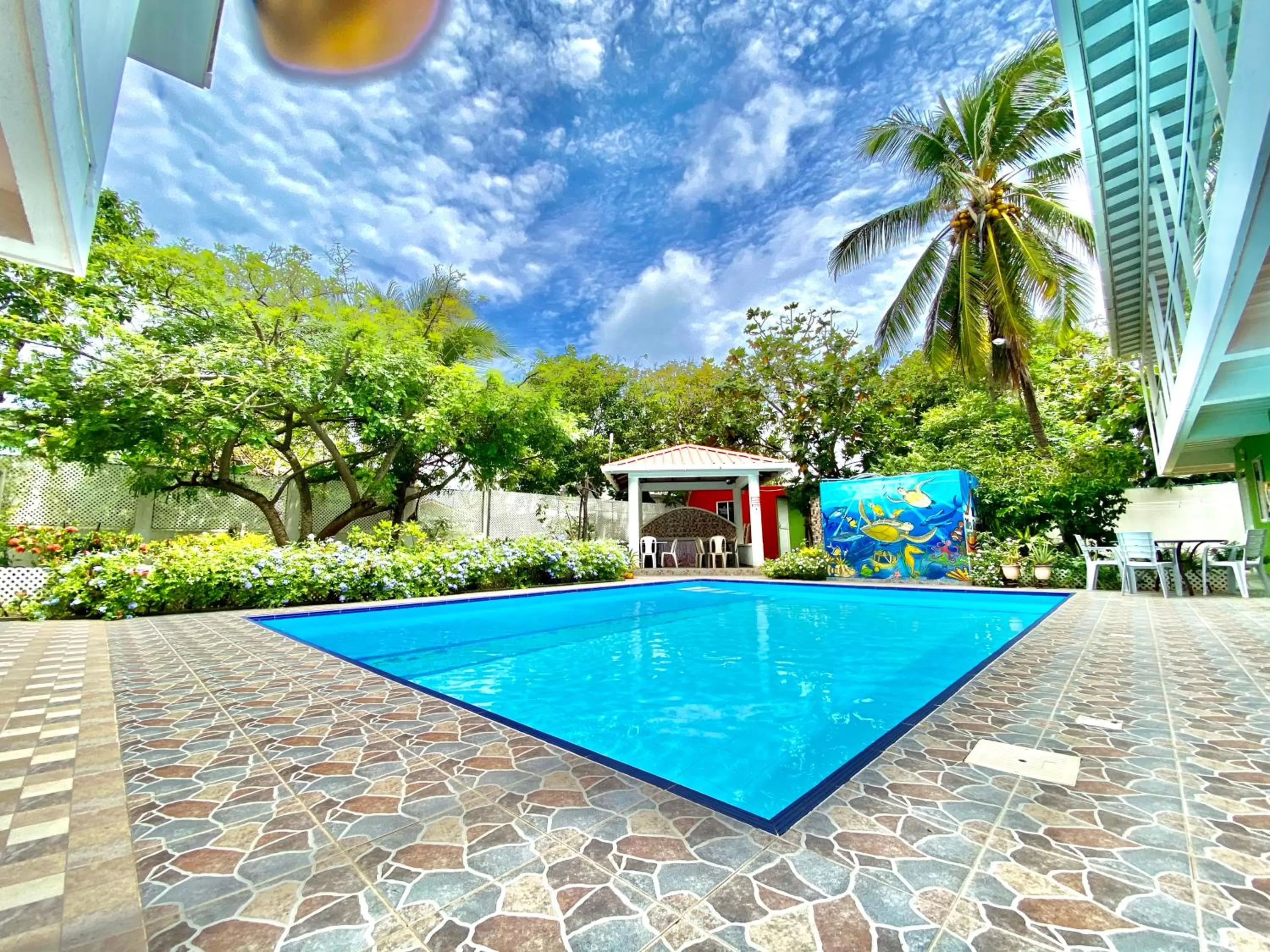 Swimming Pool in Apartamento Miss Brigida