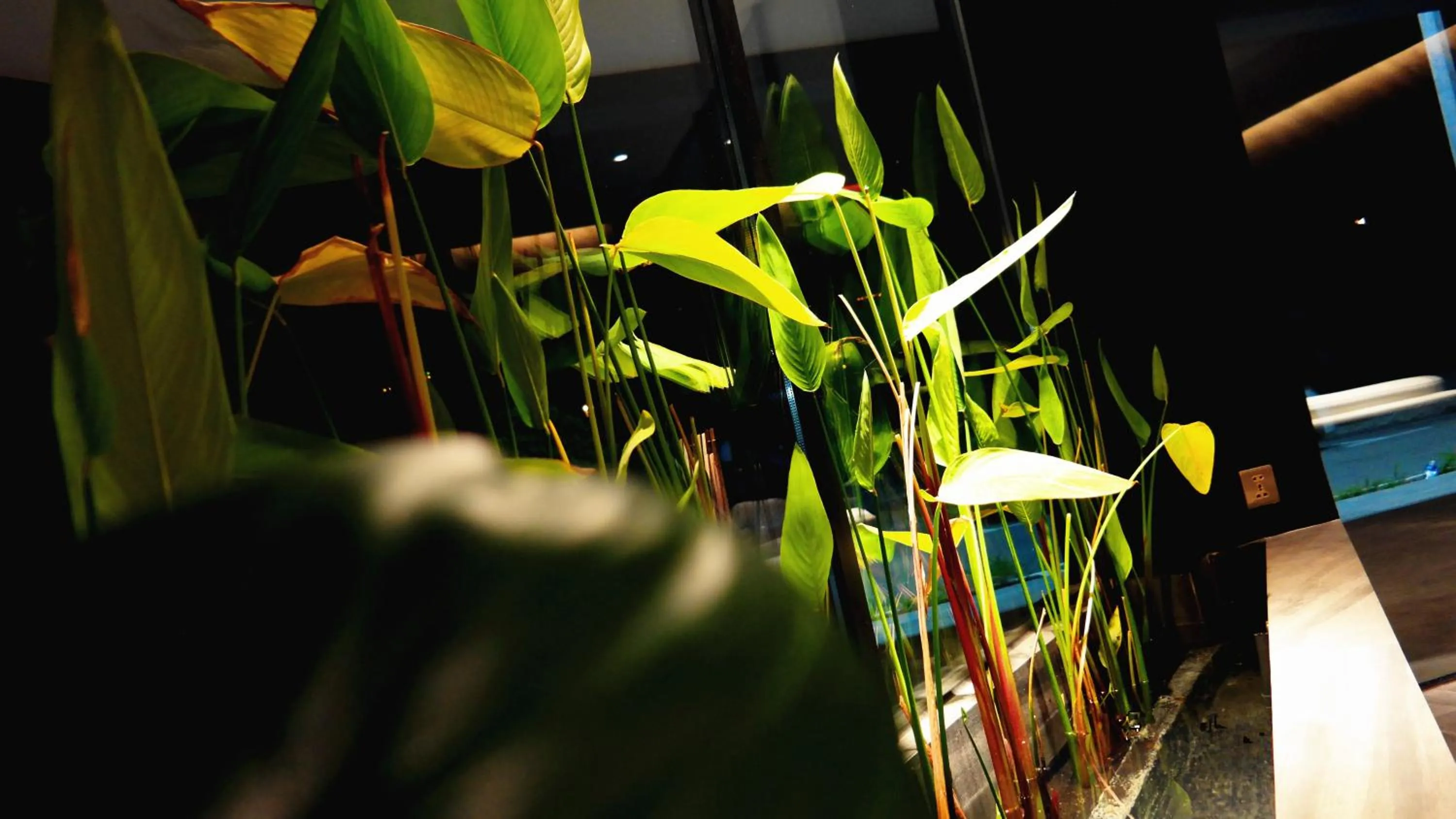 Lobby or reception in Hotel Legend Boutique