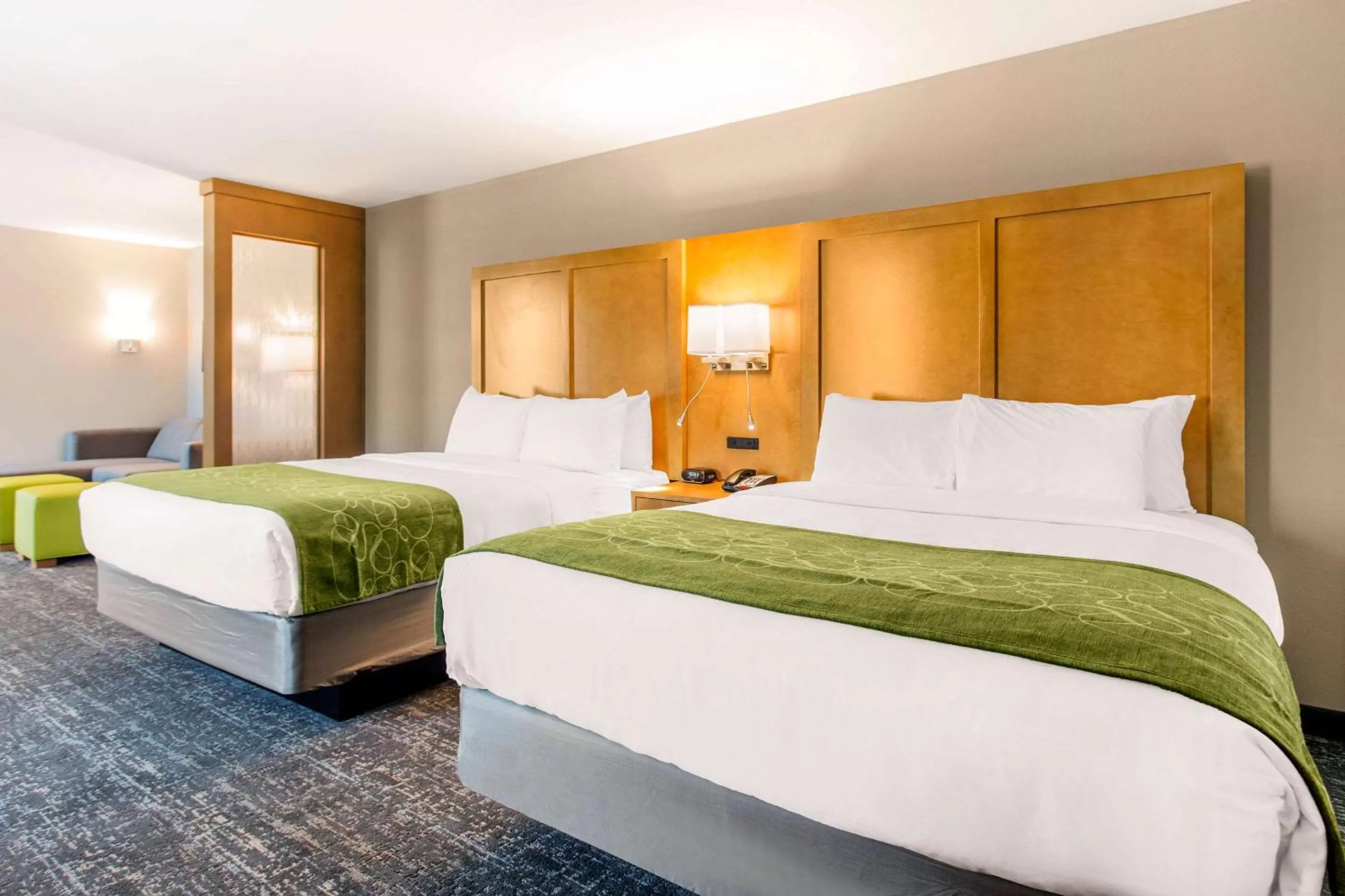 Photo of the whole room, Bed in Comfort Suites North Charleston - Ashley Phosphate