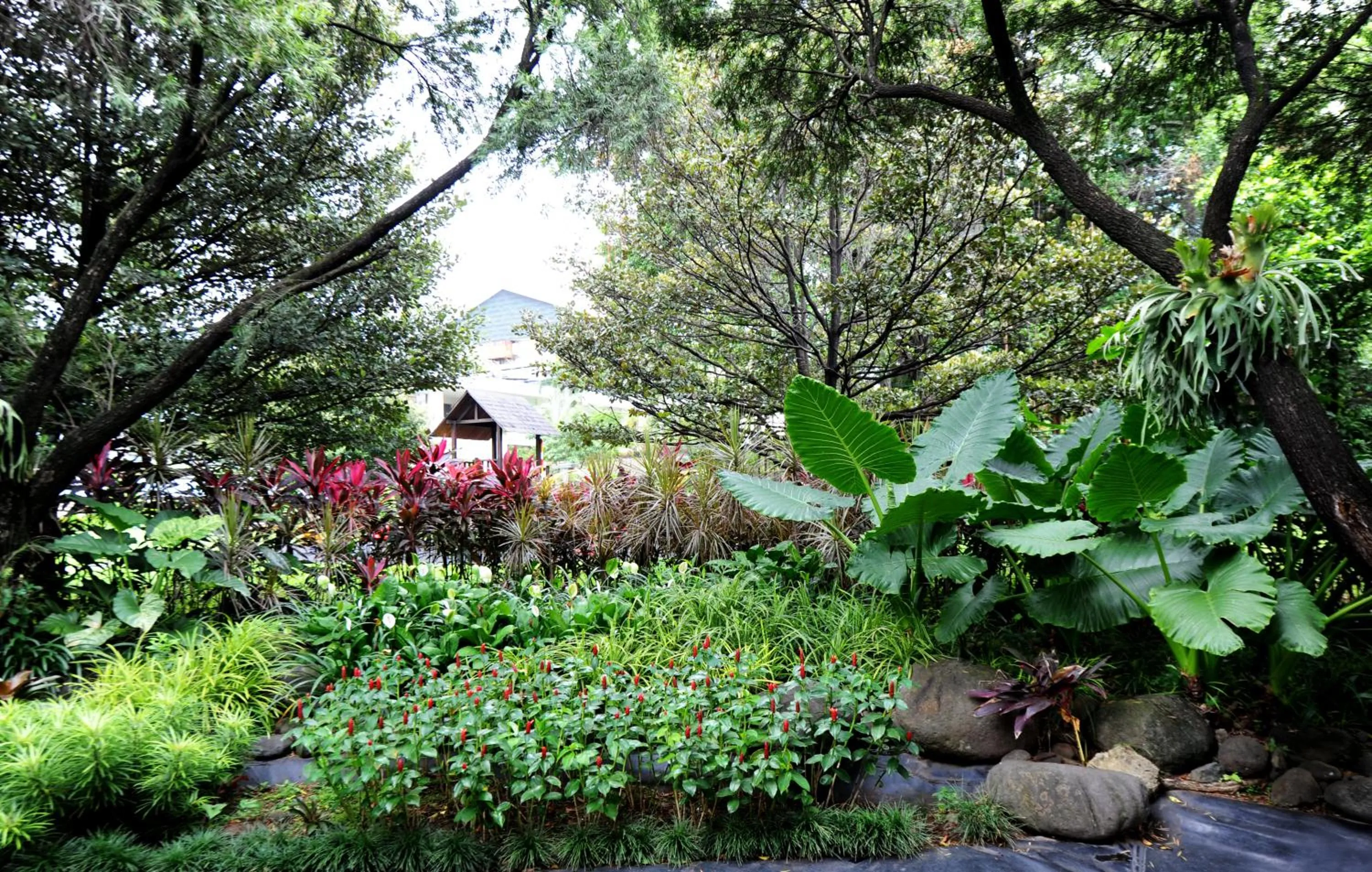 Neighbourhood in Hotel Borobudur Jakarta