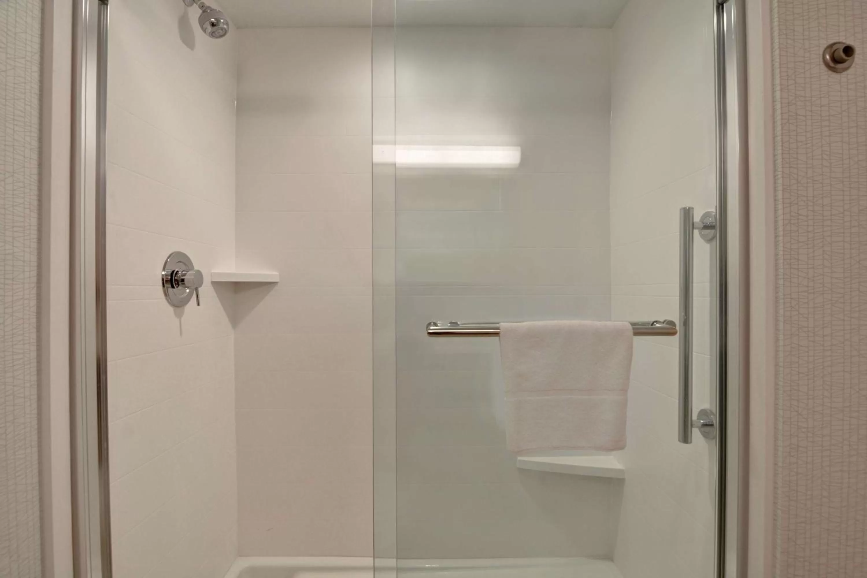 Bathroom in Hampton Inn Anderson